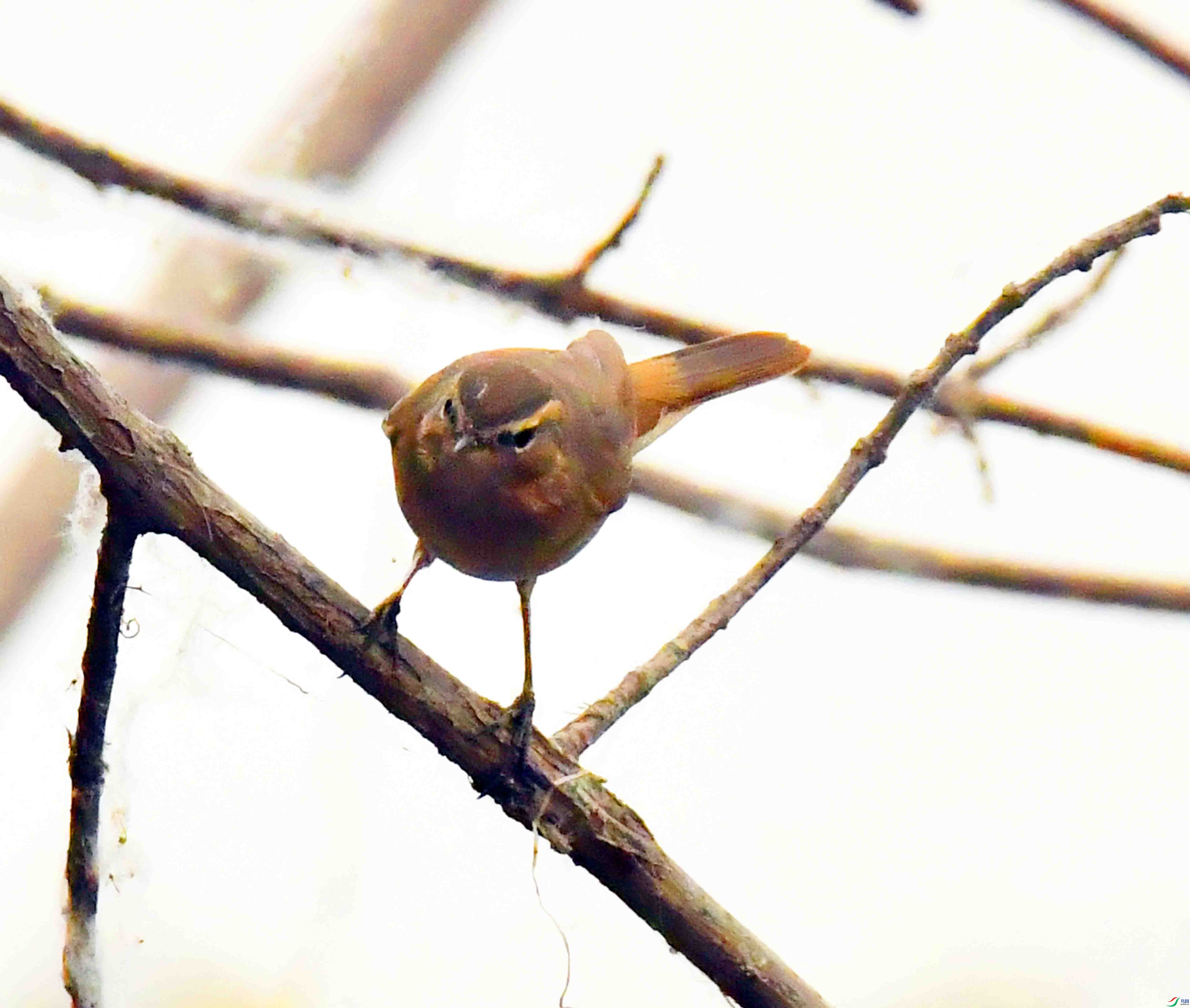 DSC_7205.JPG