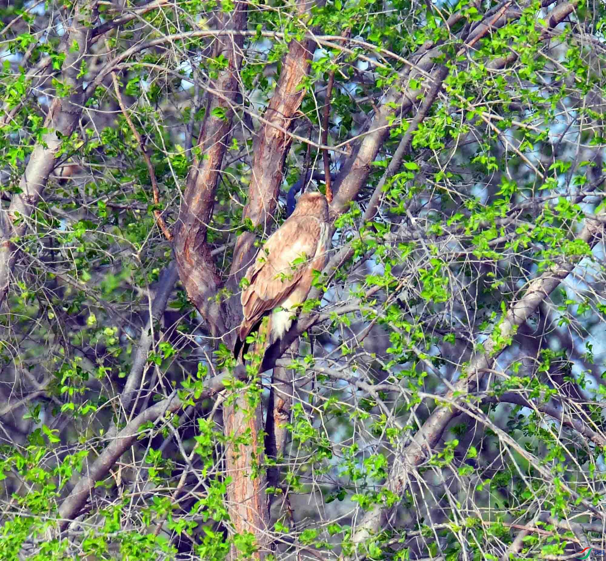 DSC_2453.JPG
