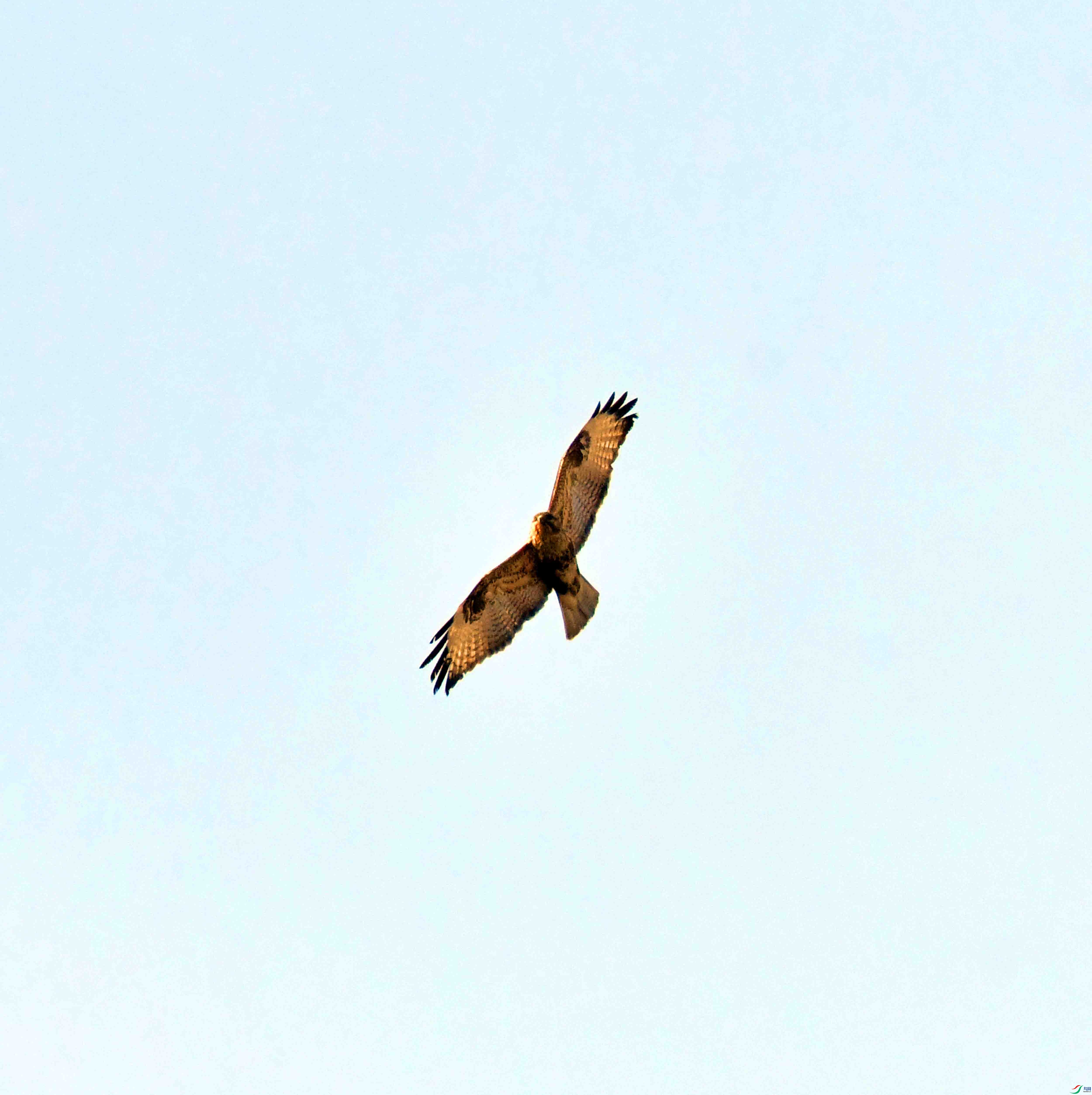 DSC_6059.JPG