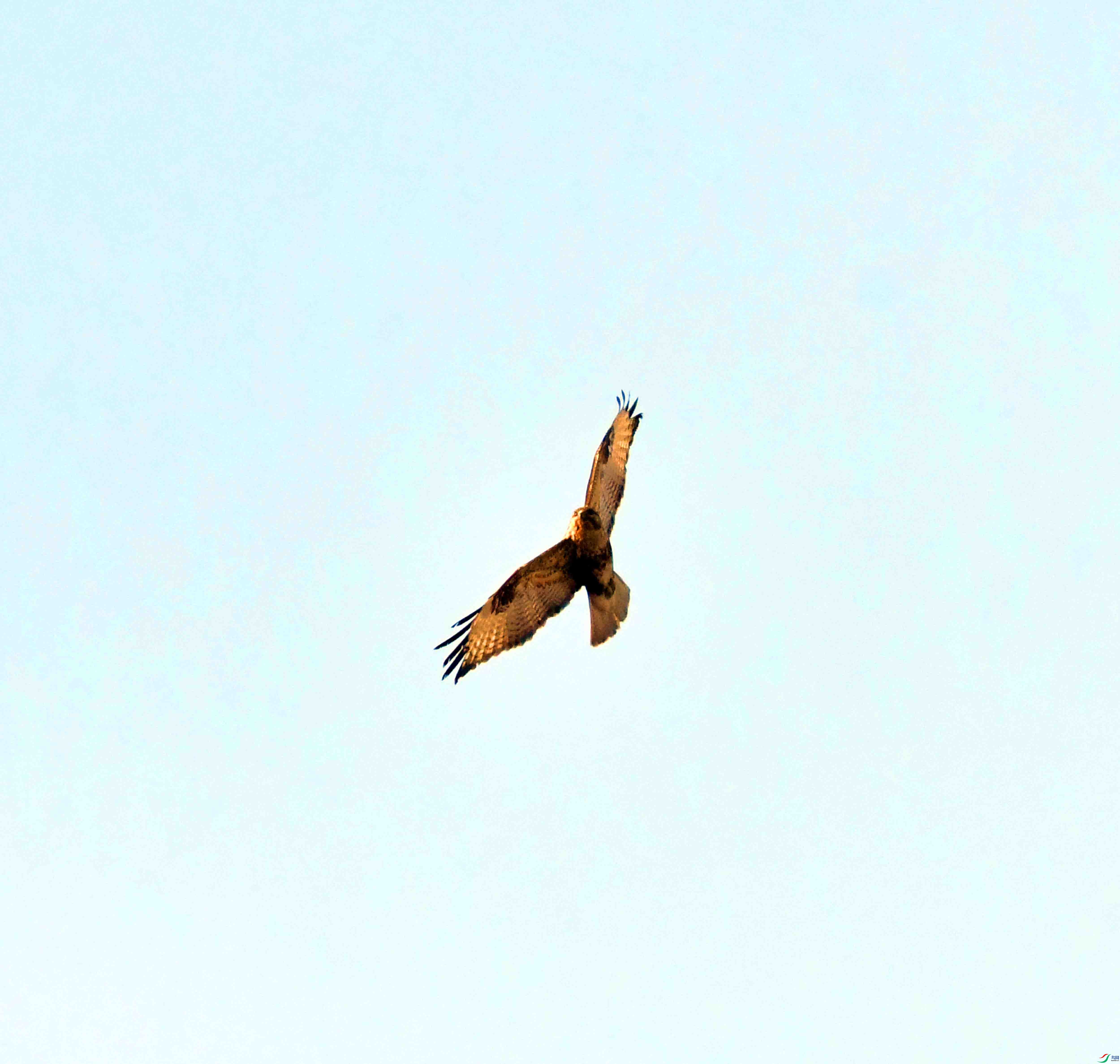 DSC_6058.JPG