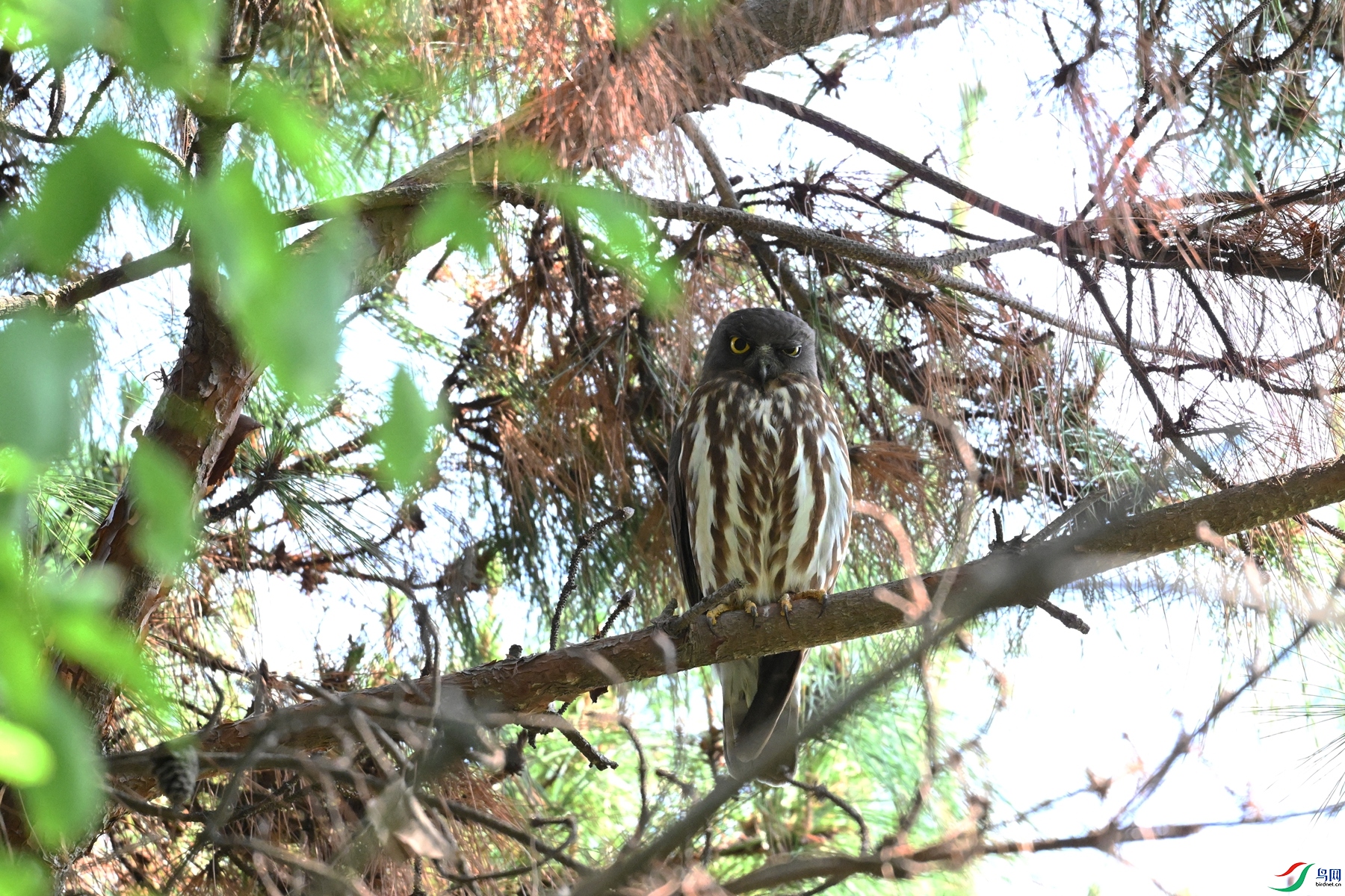DSC_3365.JPG