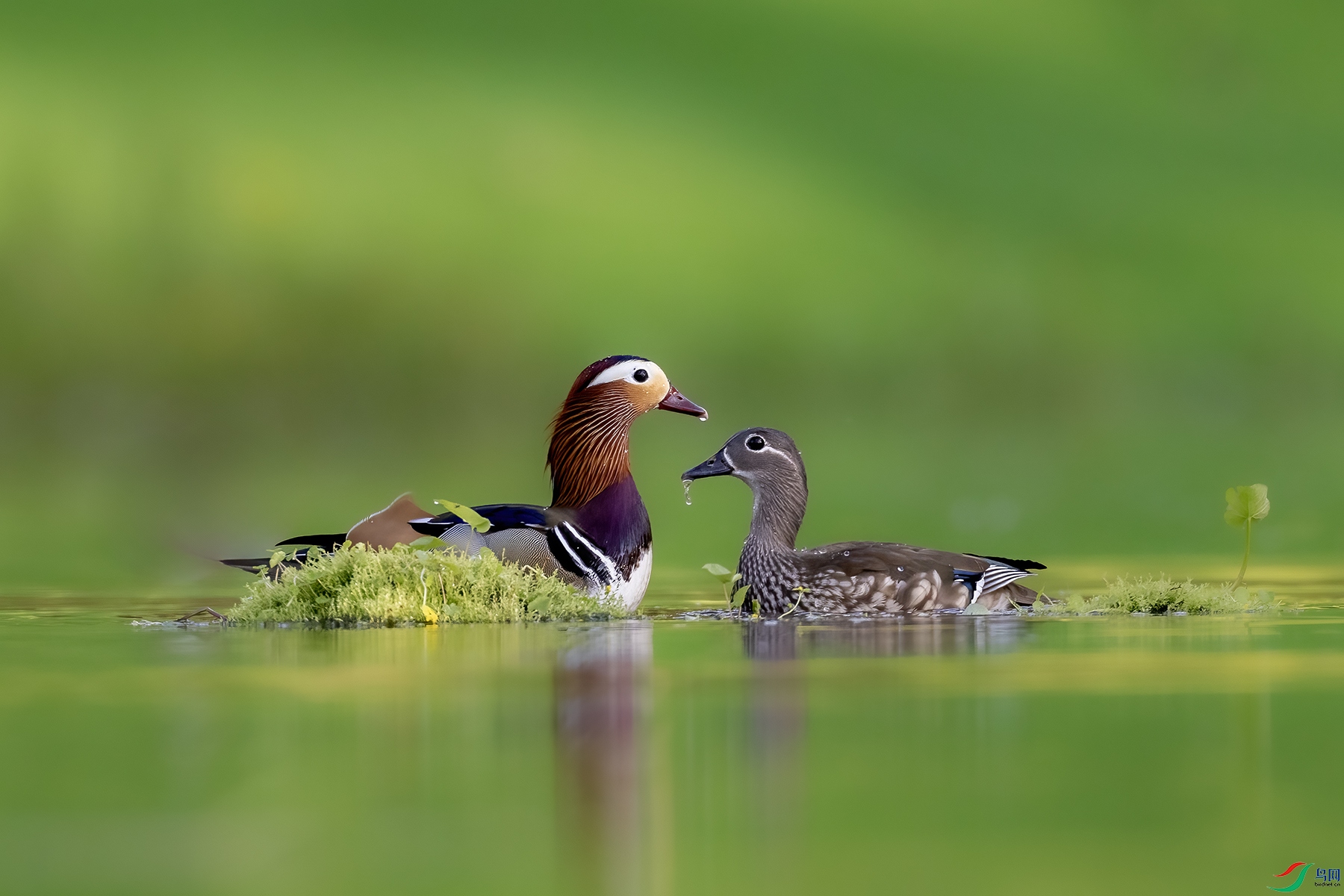 488A9993 ����.jpg