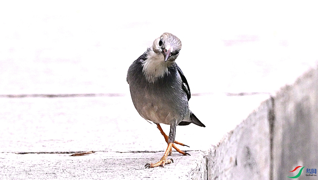 DSC_3534.JPG