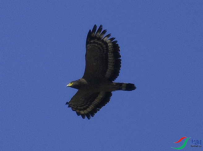 DSC_3825.JPG