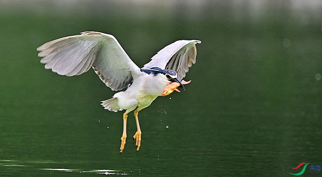 DSC_3570.JPG