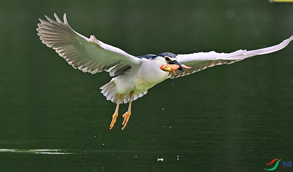 DSC_3571.JPG