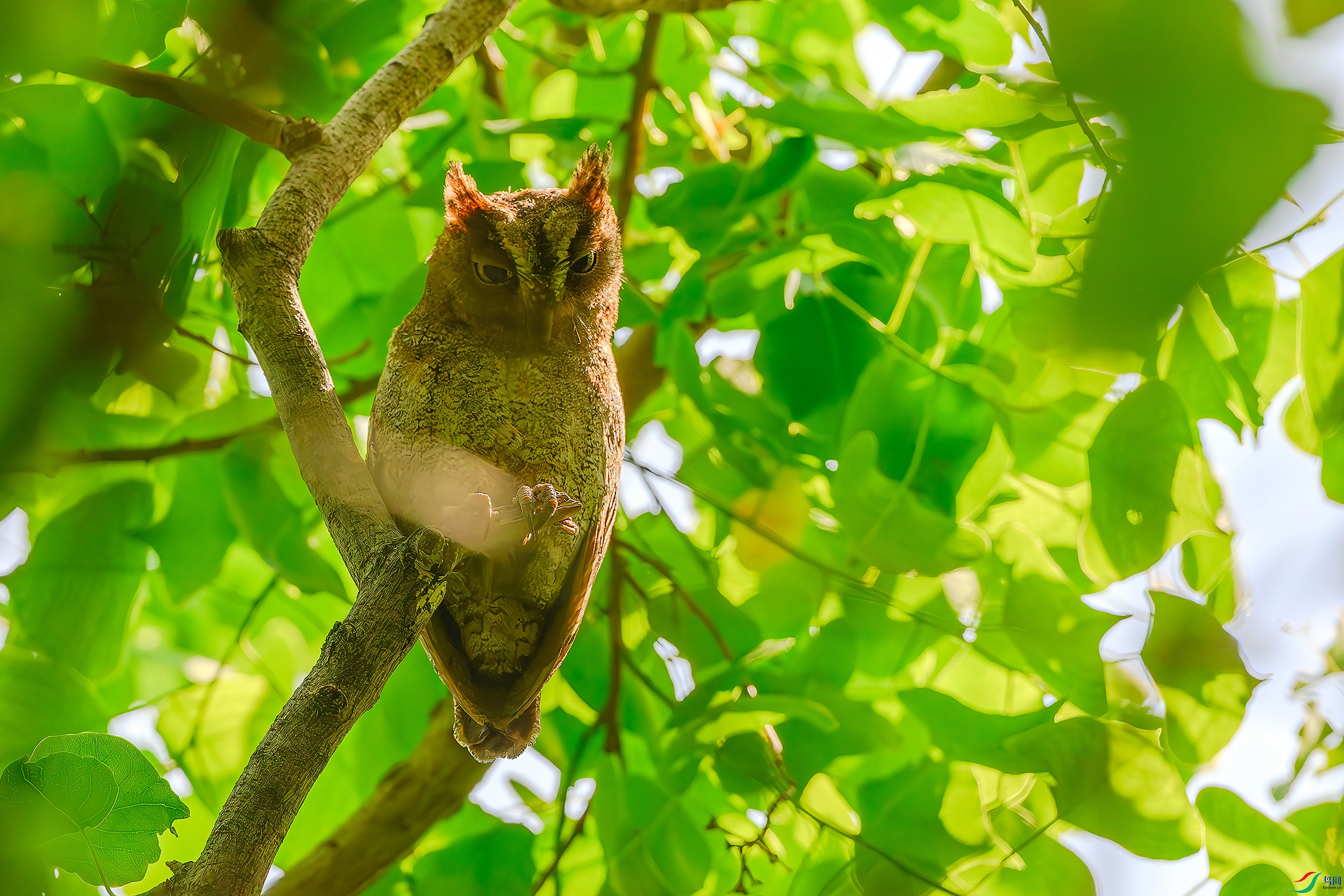 DSC_5176-ABC.jpg