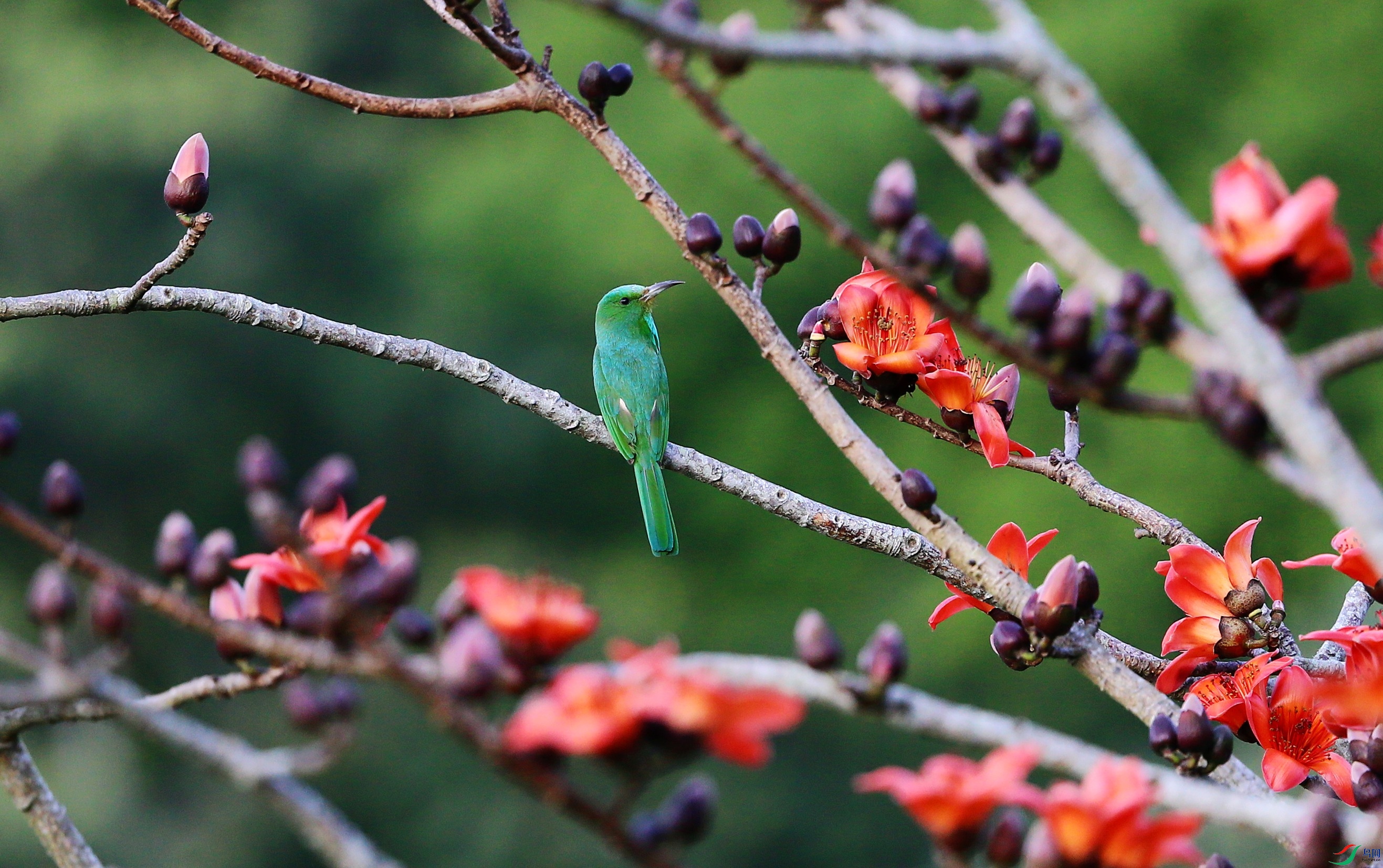 ����ҹ�仢 (107).JPG