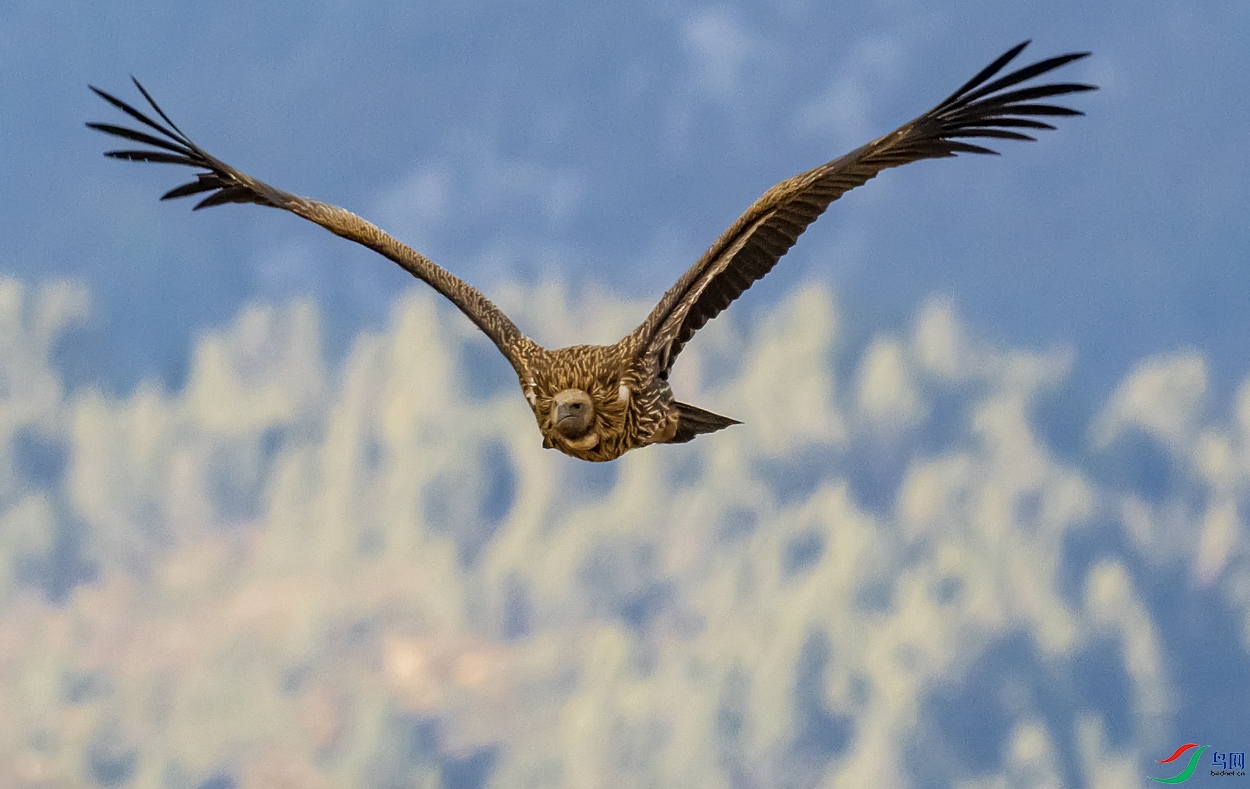 P2280435 ����չ��_2.jpg