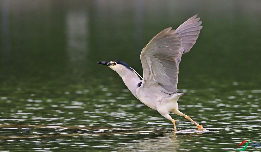 DSC_3643.JPG