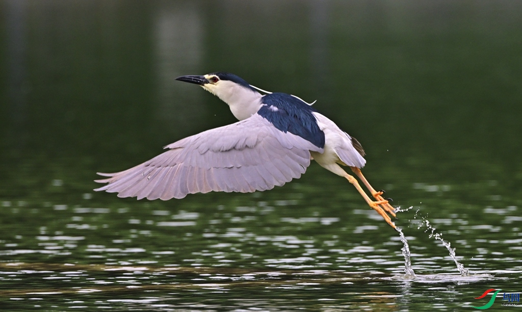 DSC_3644.JPG