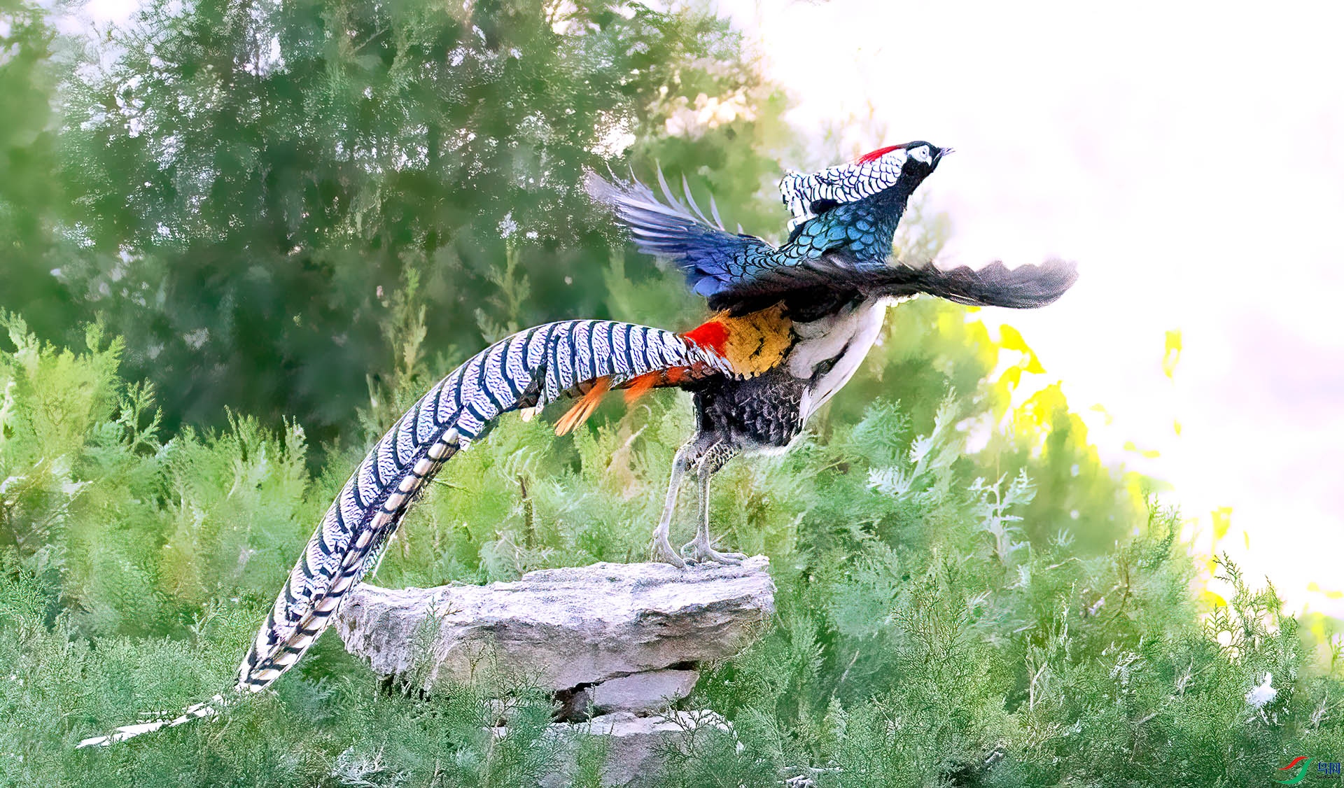 _07A1650 ����-Sh----1 .jpg