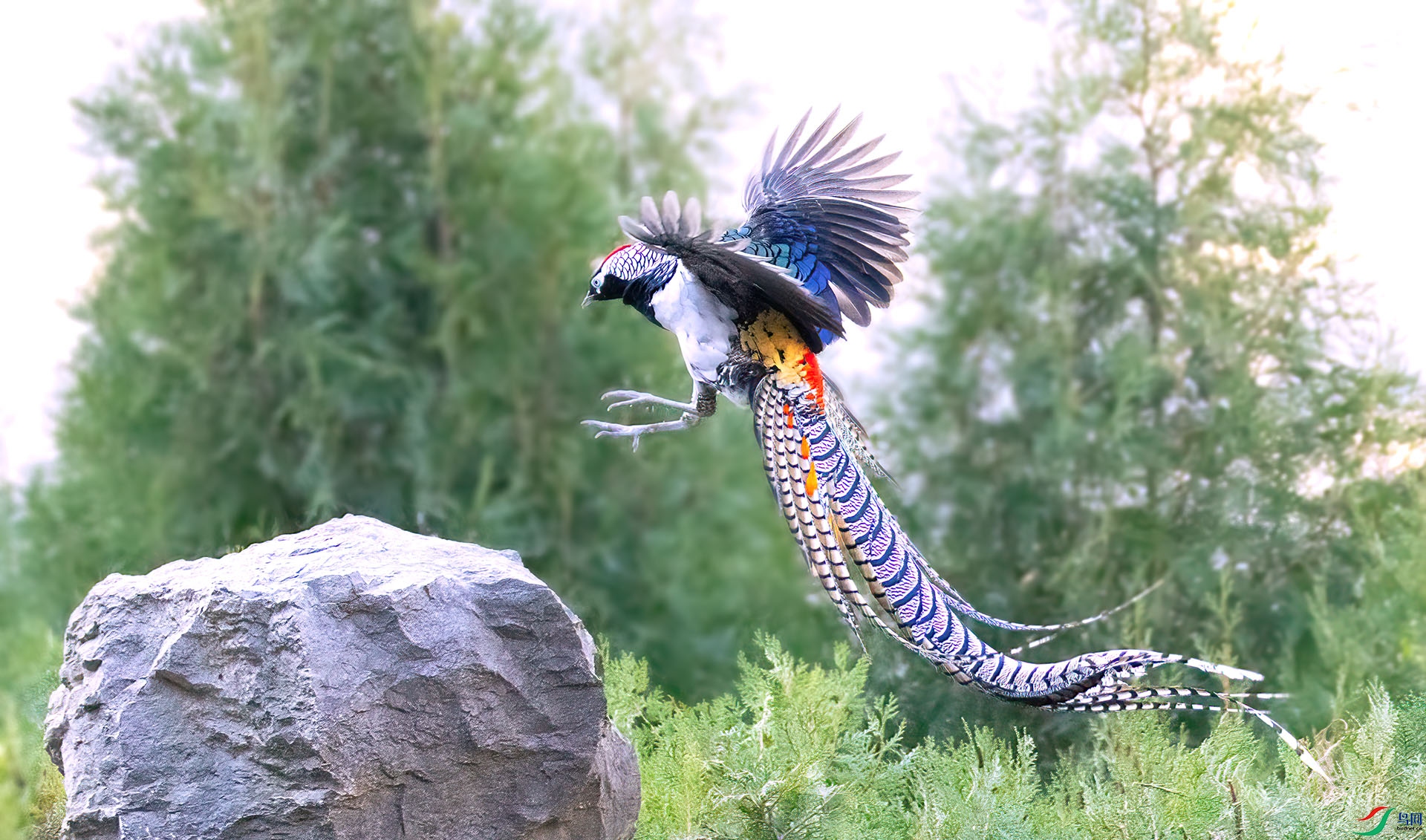 _07A1922 ����-Sh---1 .jpg