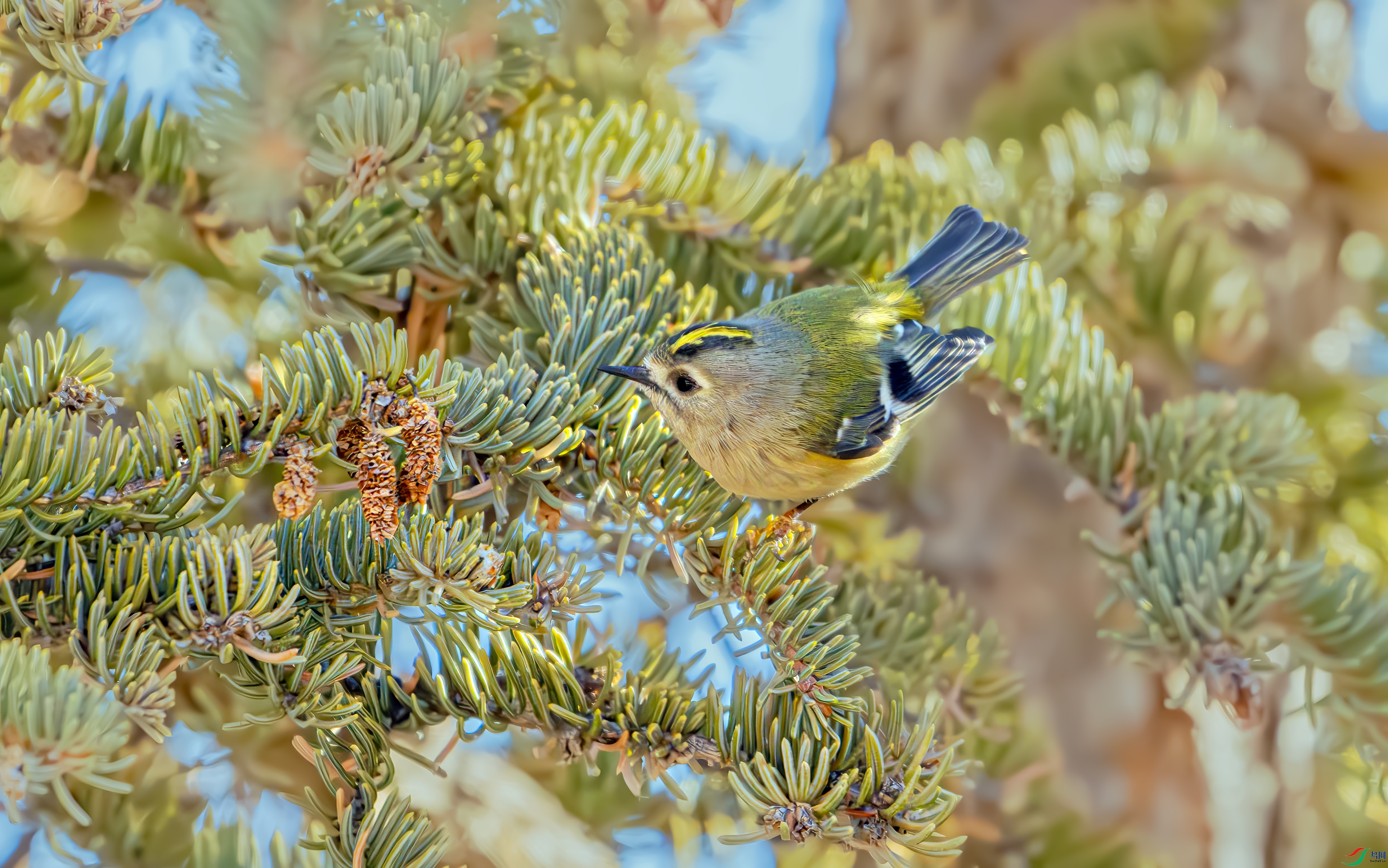 DSC_3403.jpg