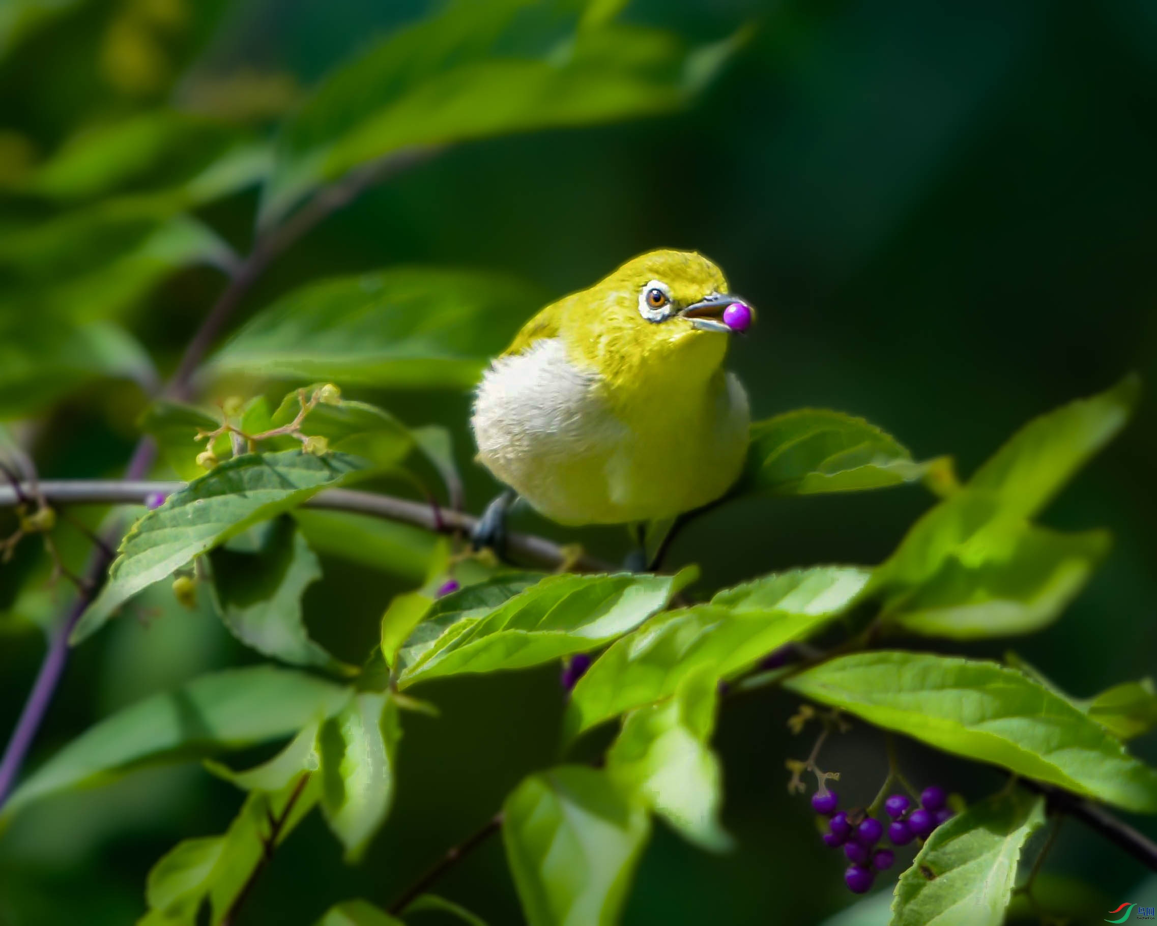 DSC_1232_--����--2.jpg