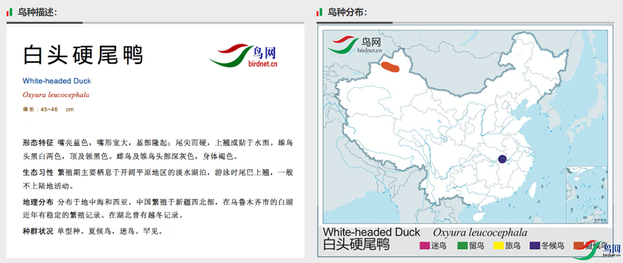 22ac90312e0159dd7b881da66646325.png