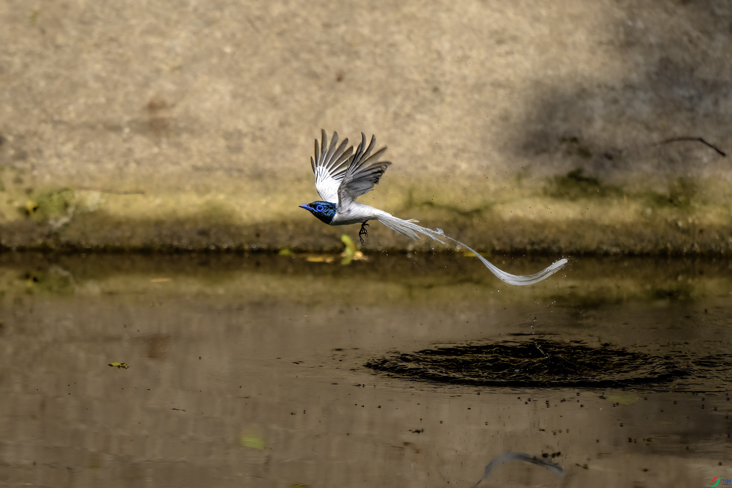DSC_1563.jpg