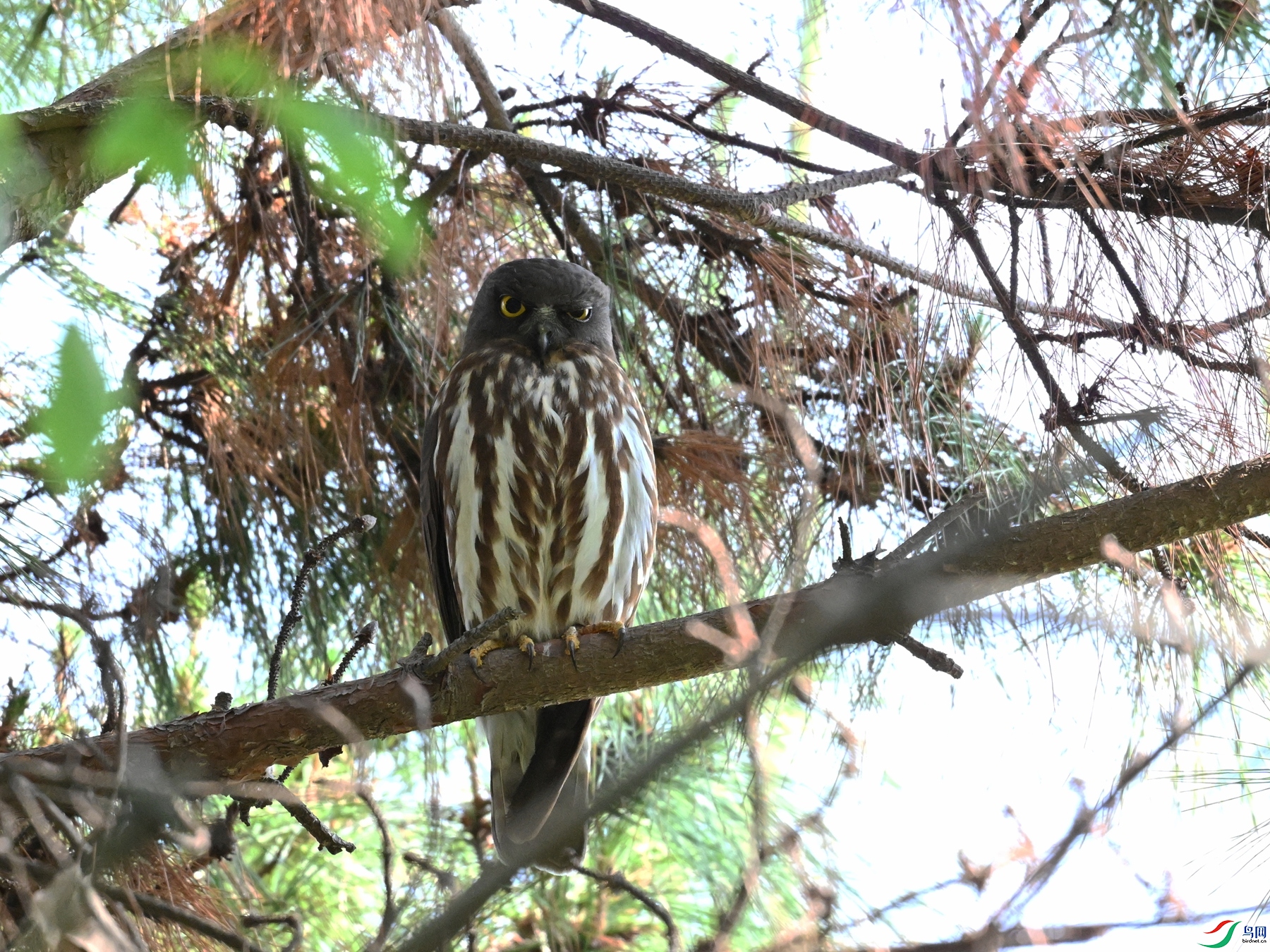 DSC_3366.JPG
