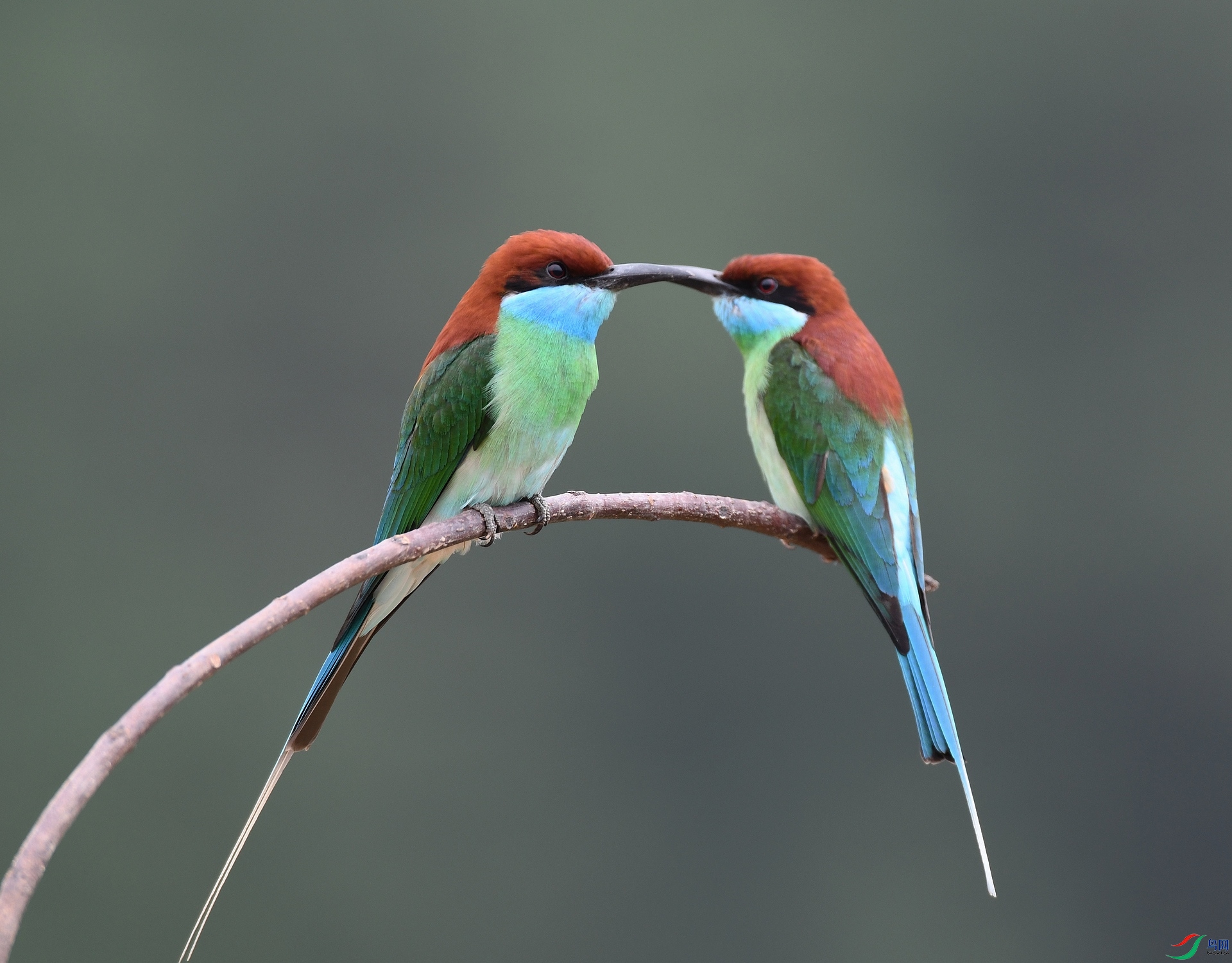DSC_1366.jpg
