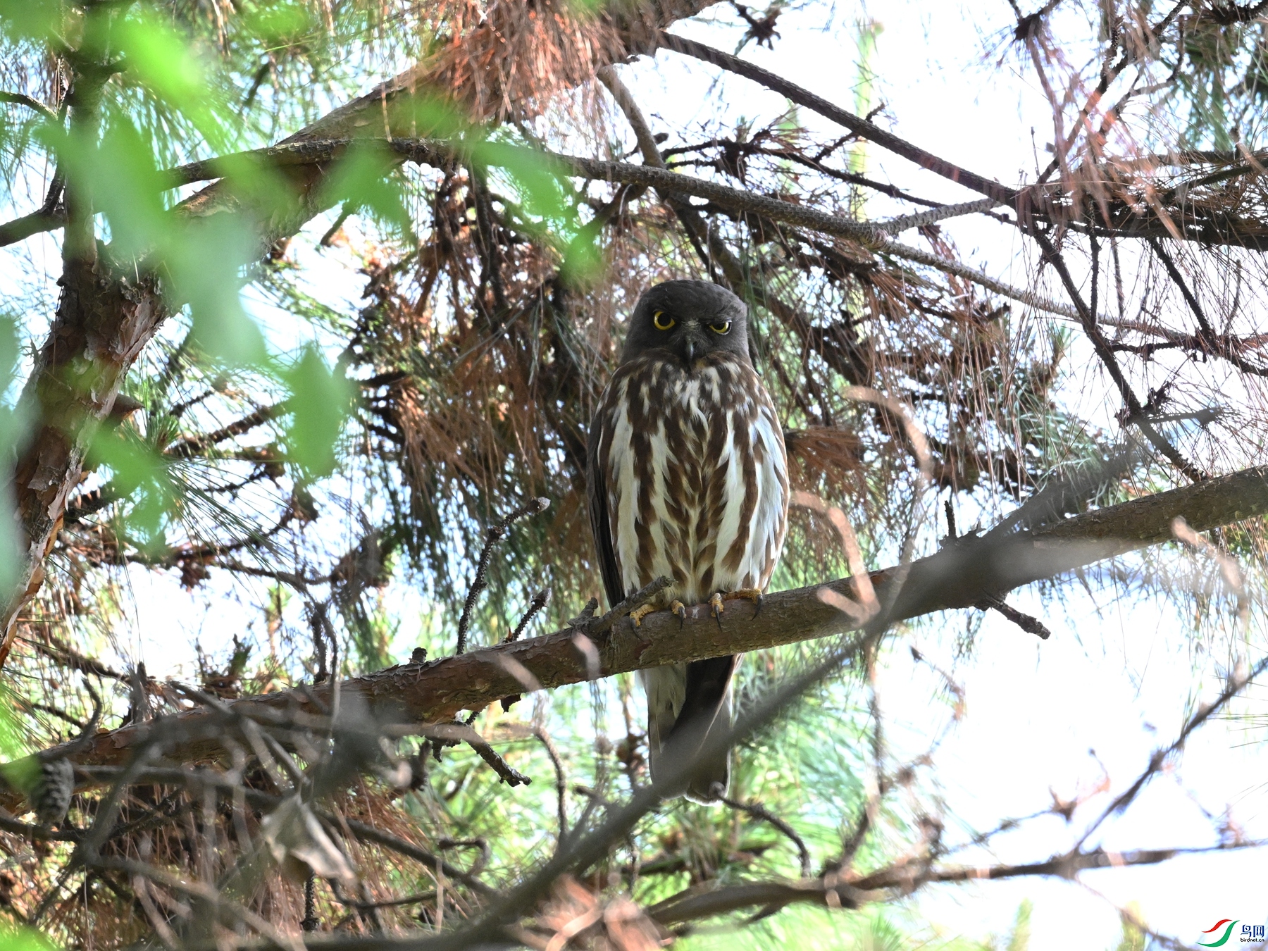 DSC_3367.JPG
