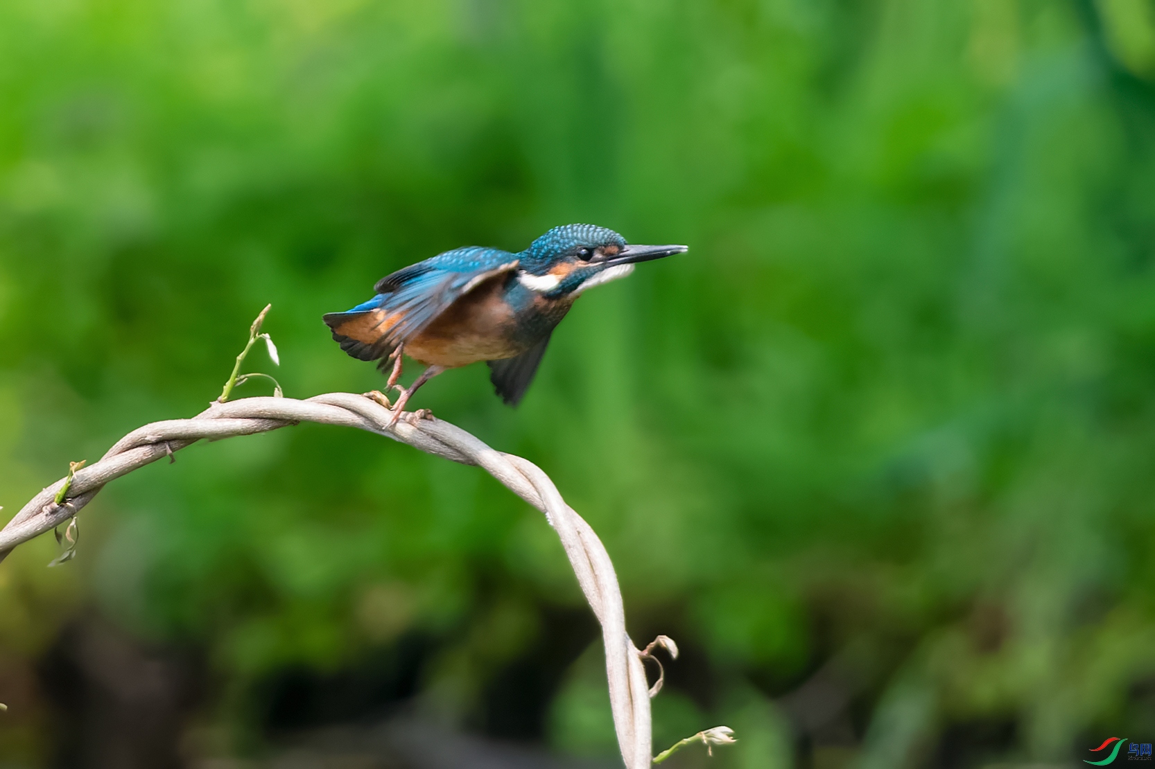 5DSC_0874_DxOa.jpg