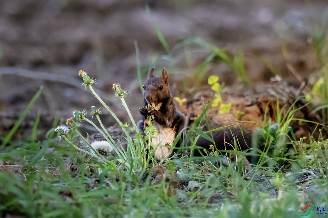 A63I3139_1 - ���� ���� 2.jpg