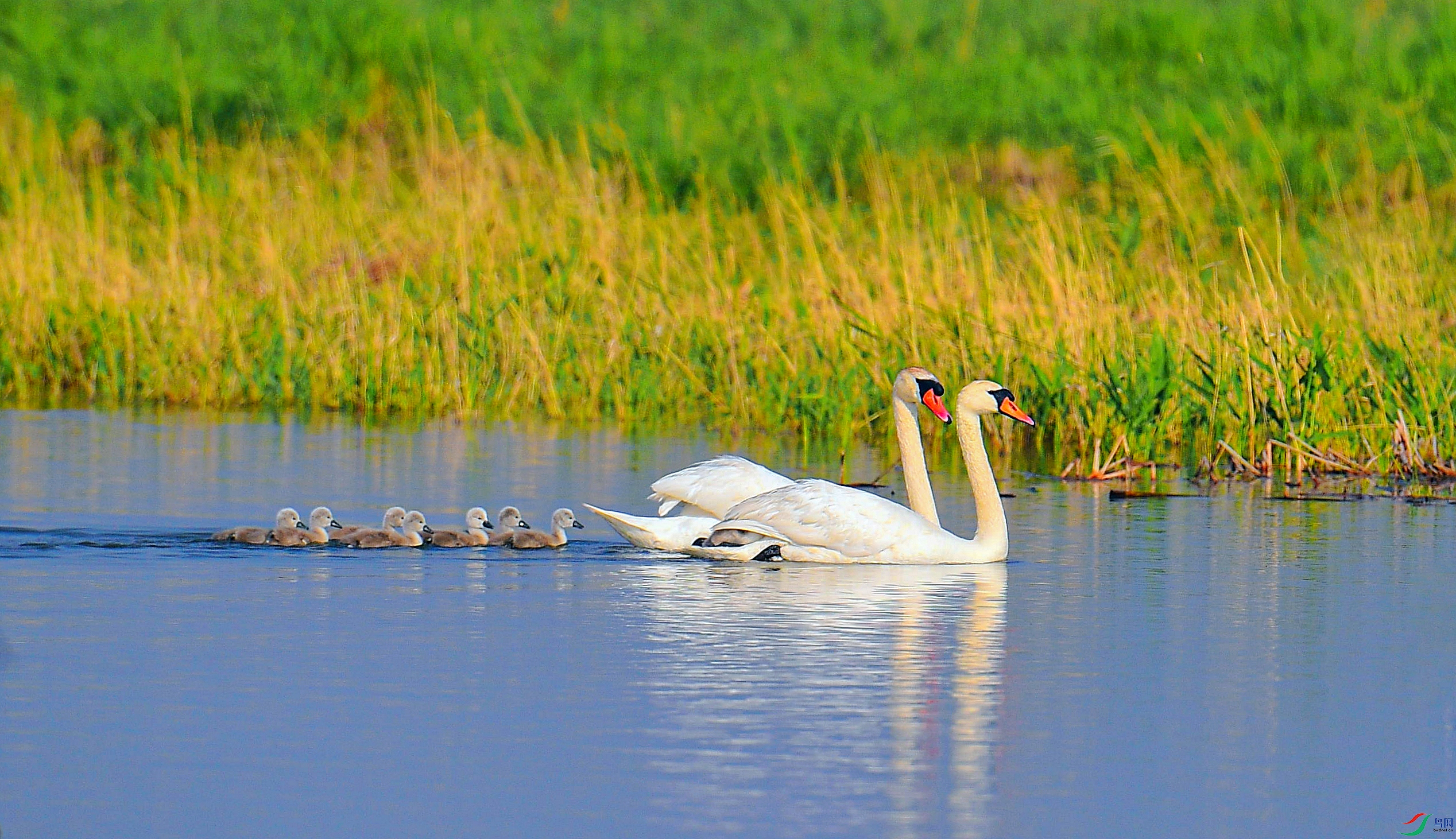 YJY_2332_���� ����1.jpg