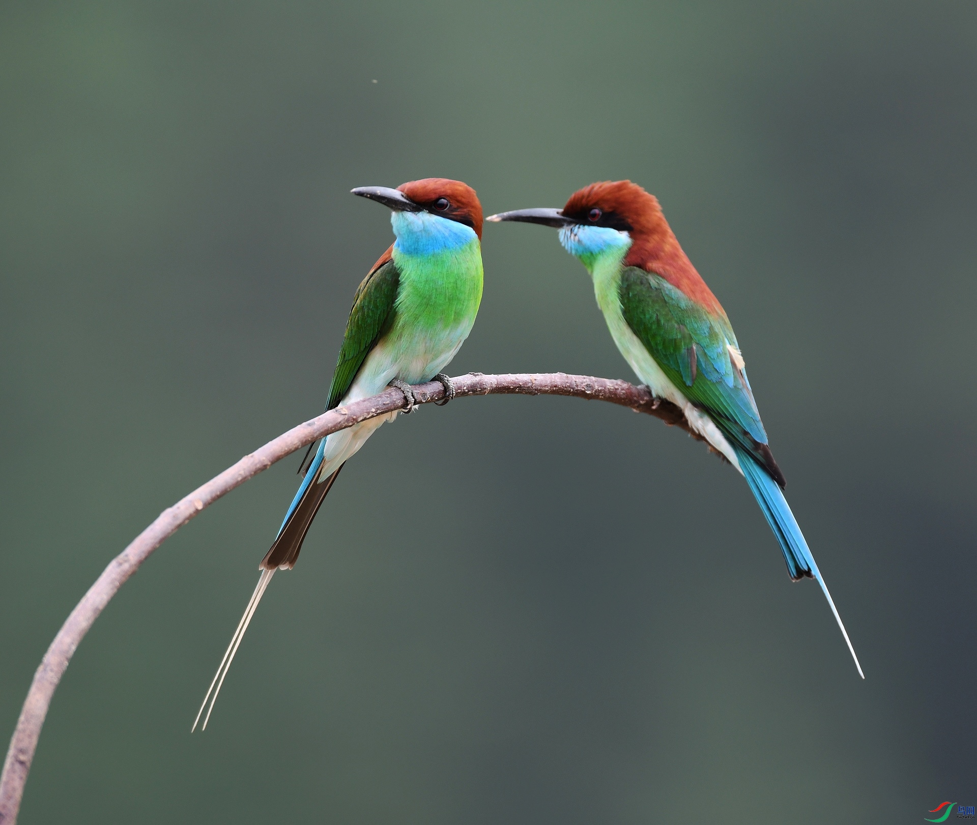 DSC_1352.jpg