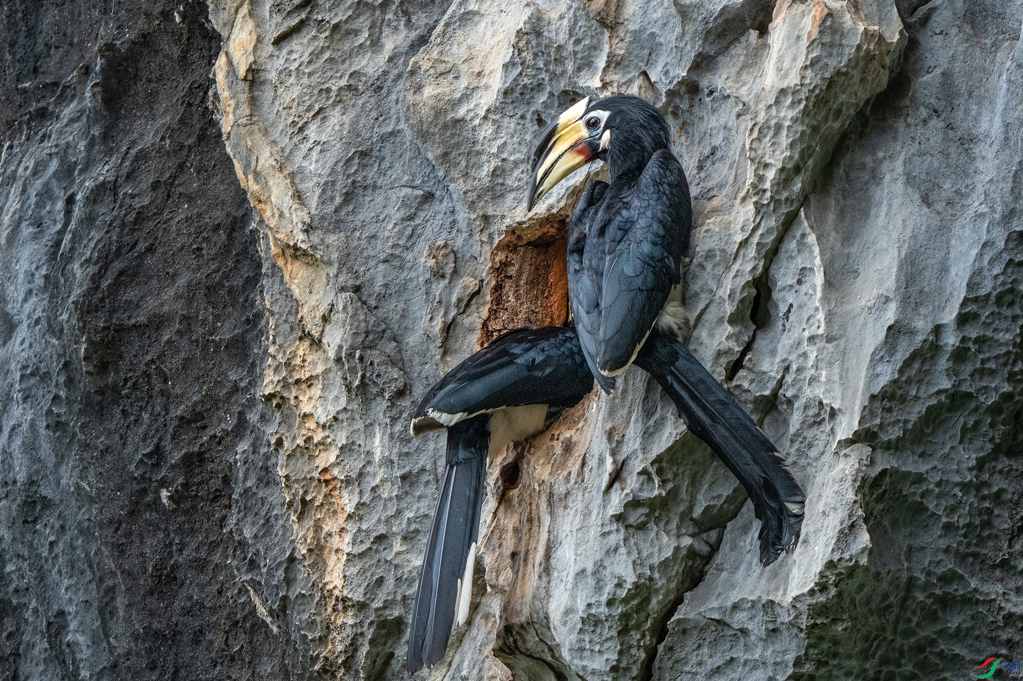 R4A00126 ����a ����.jpg