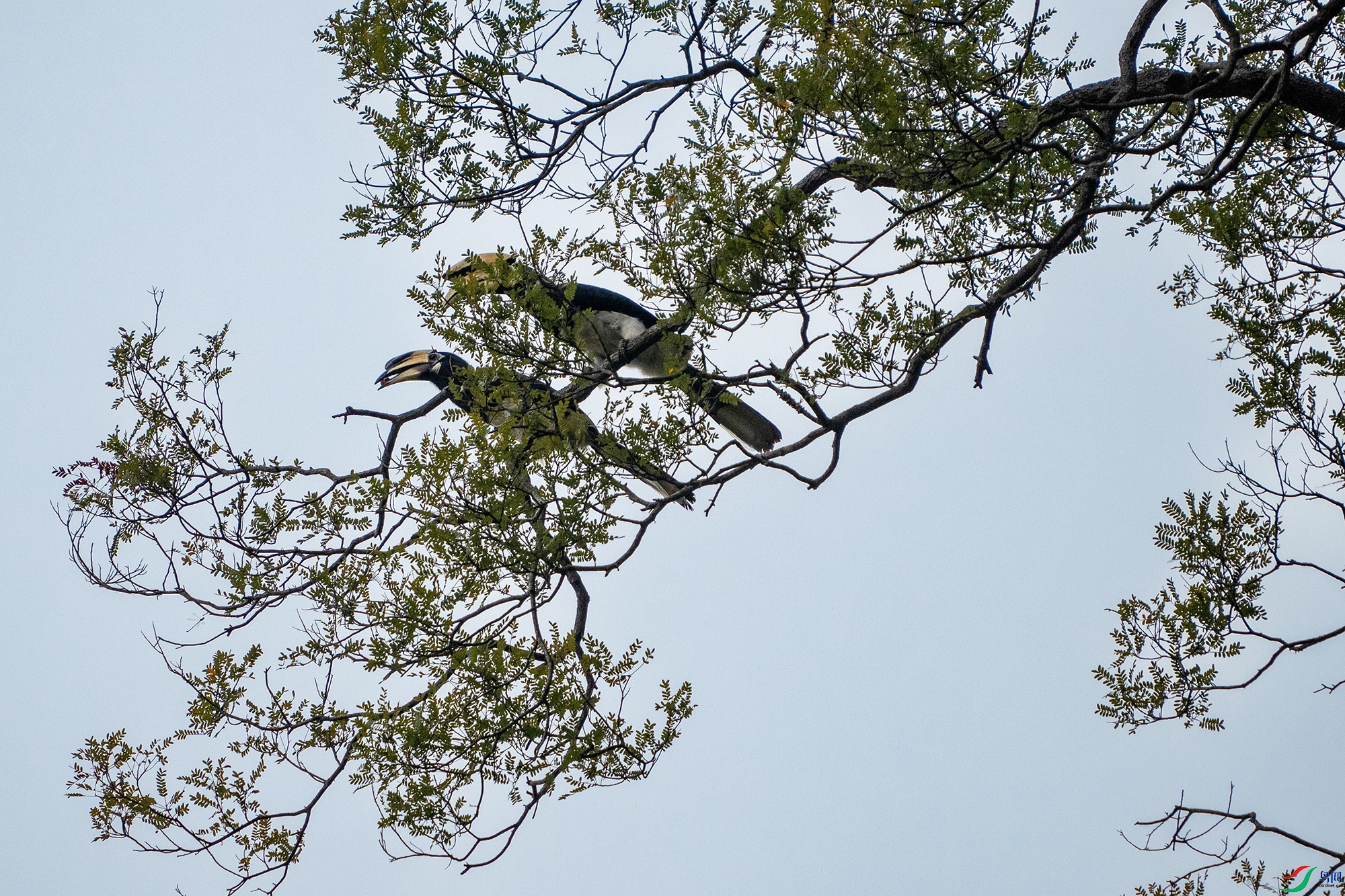 DSC06052 ���� 2.jpg