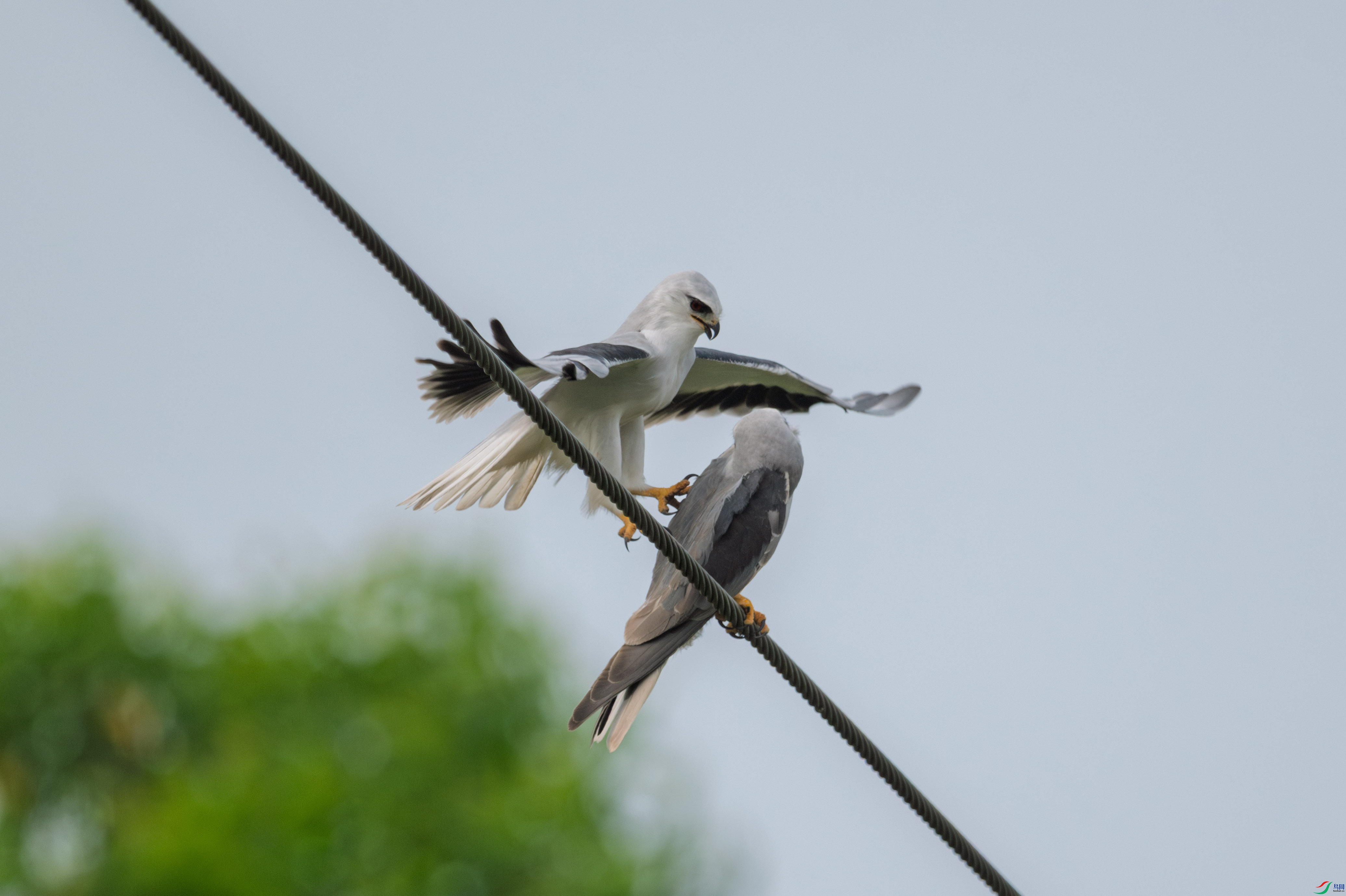 DSC_2050.JPG