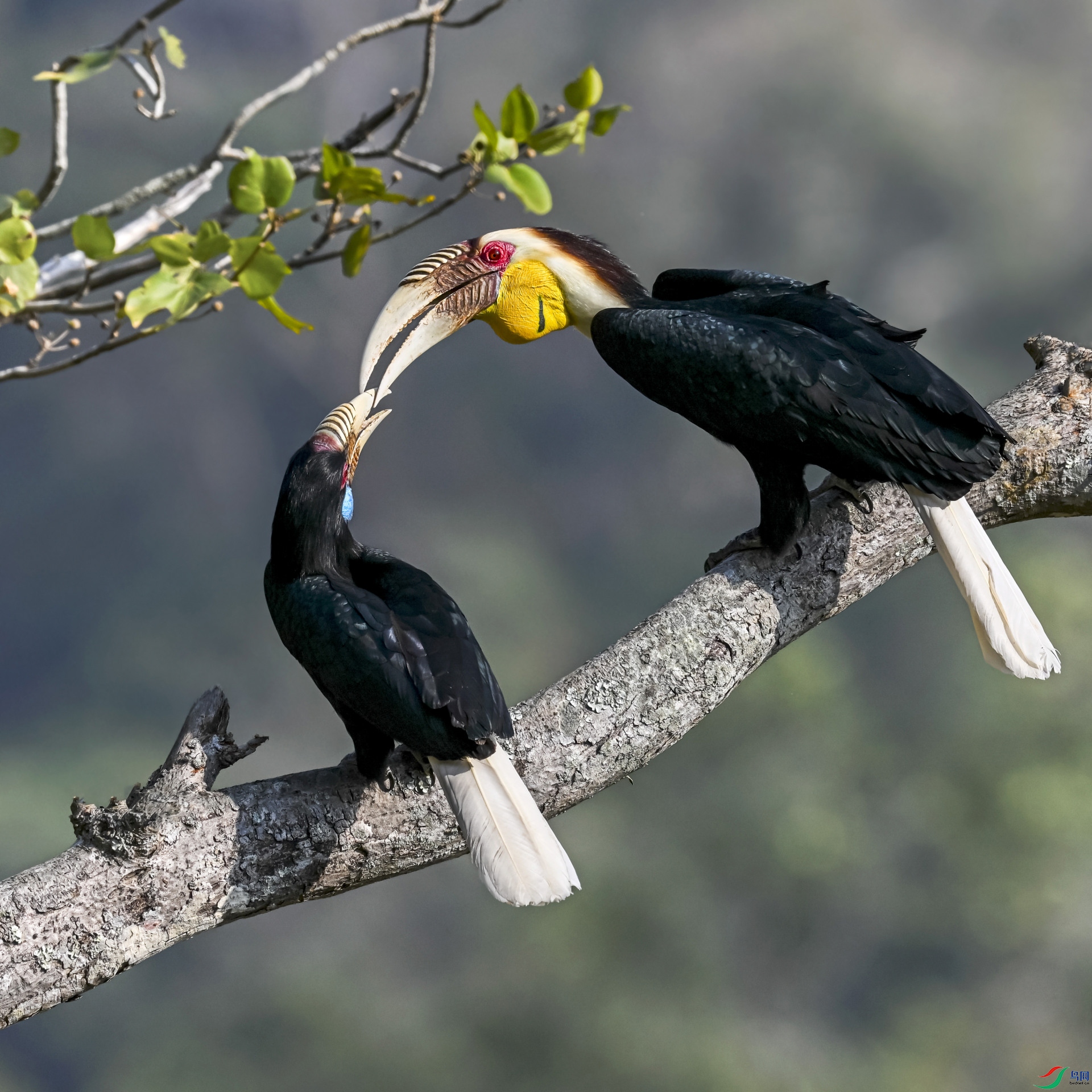 DSC_4379 ����_01.JPG