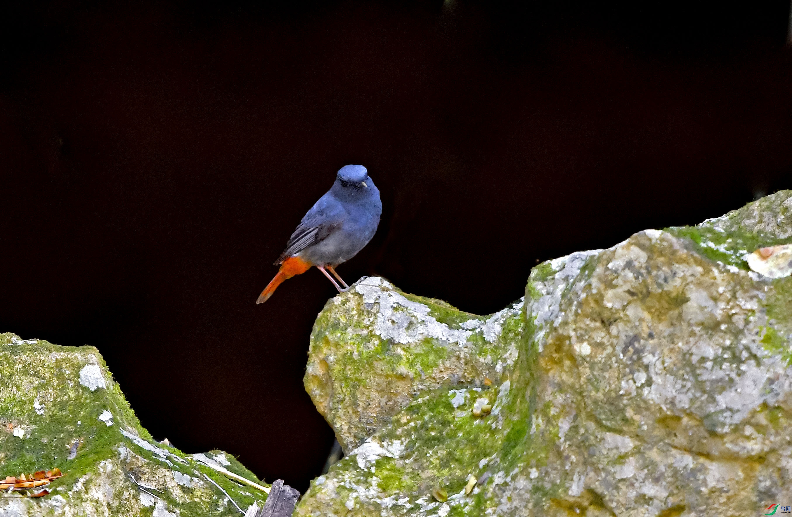 DSC_8314.JPG