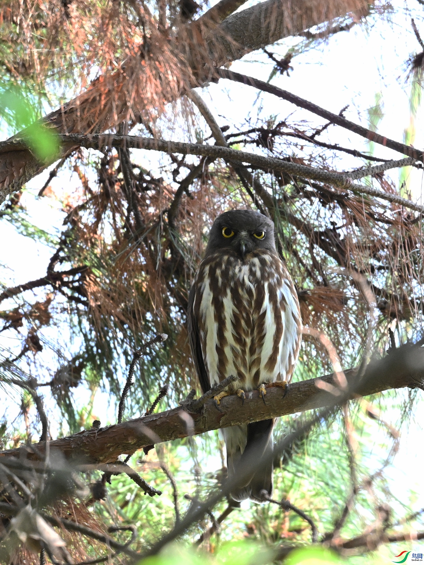 DSC_3371.JPG