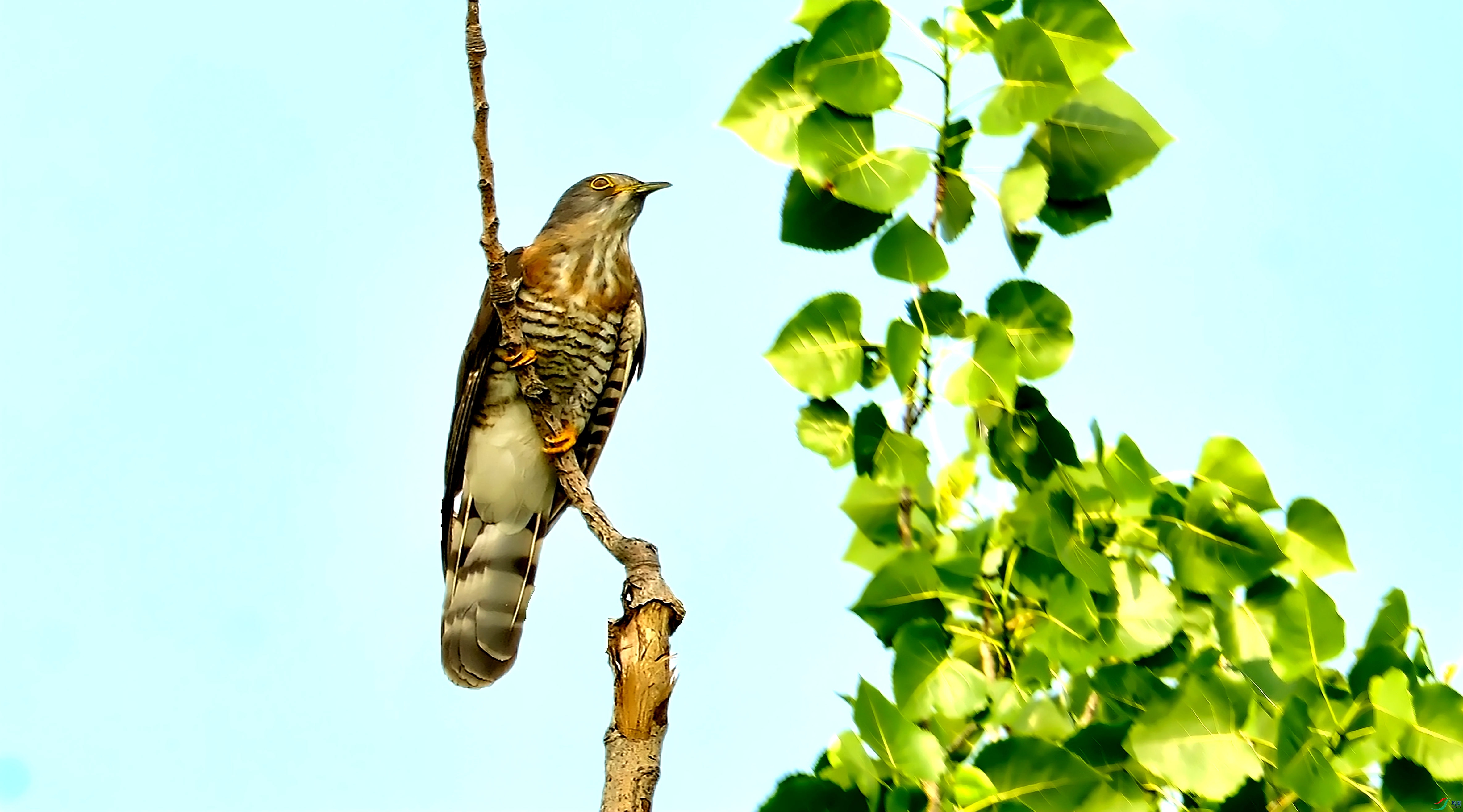 DSCF5567.jpg