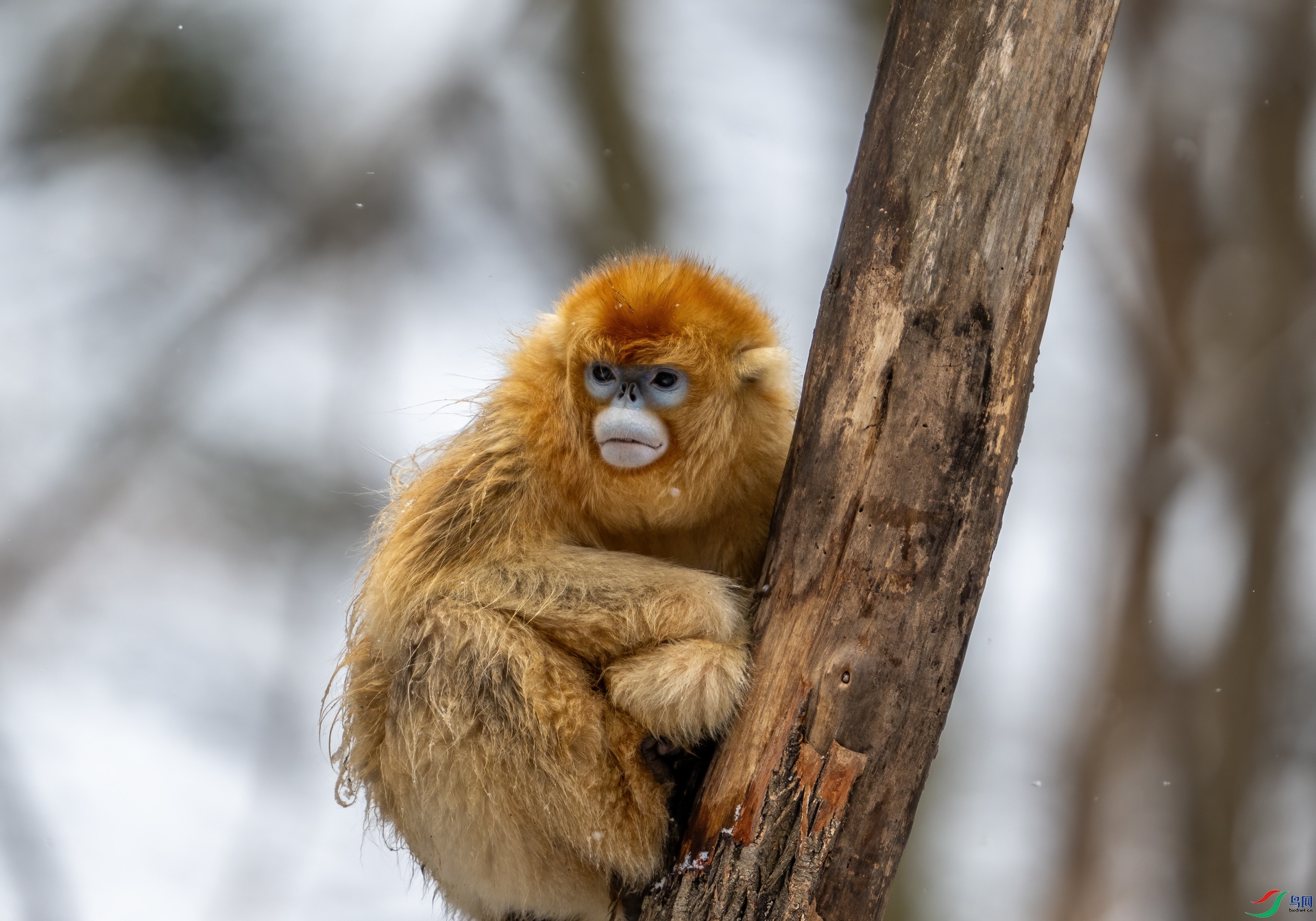 DSC_0029.jpg