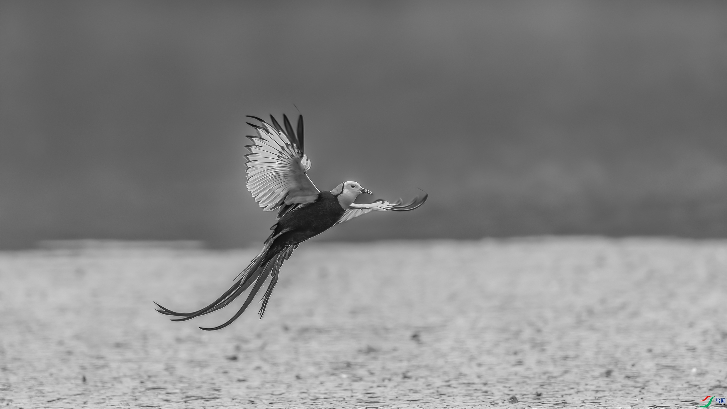 C09R1481 ����.jpg