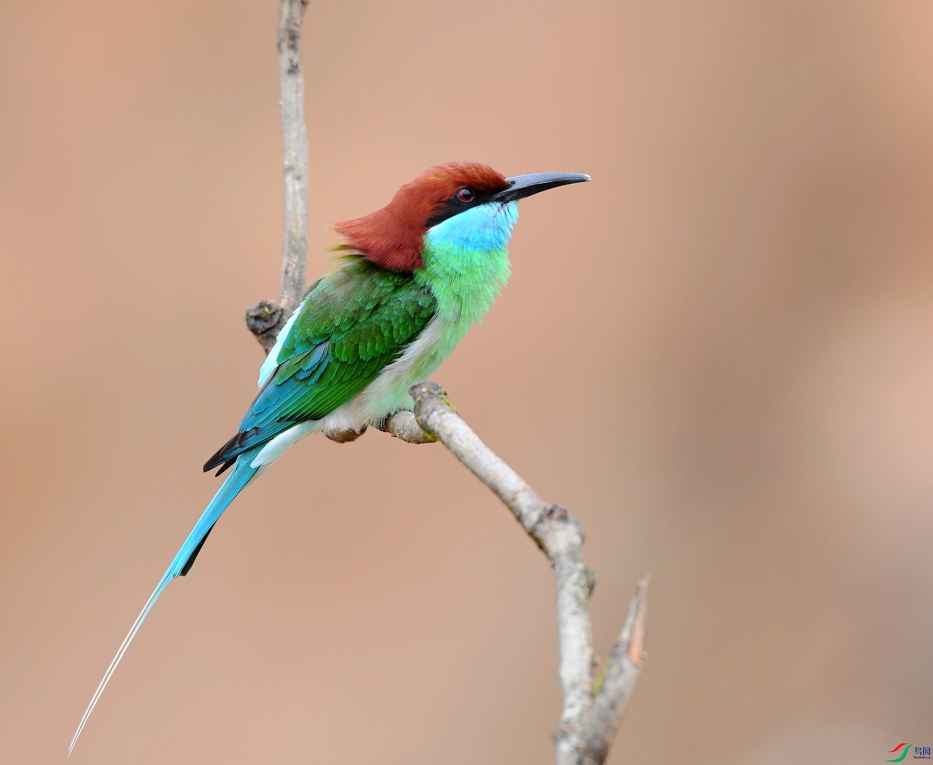 DSC_9124.jpg