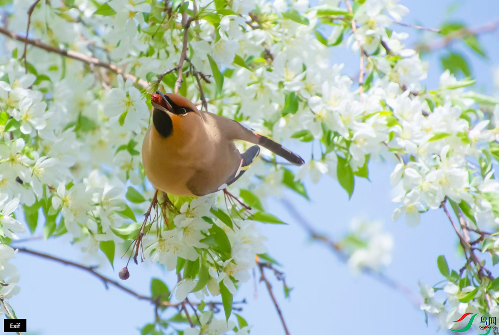 �������ѡ���������ٻ����Ѿ�����Զ��Զ�� 28.png