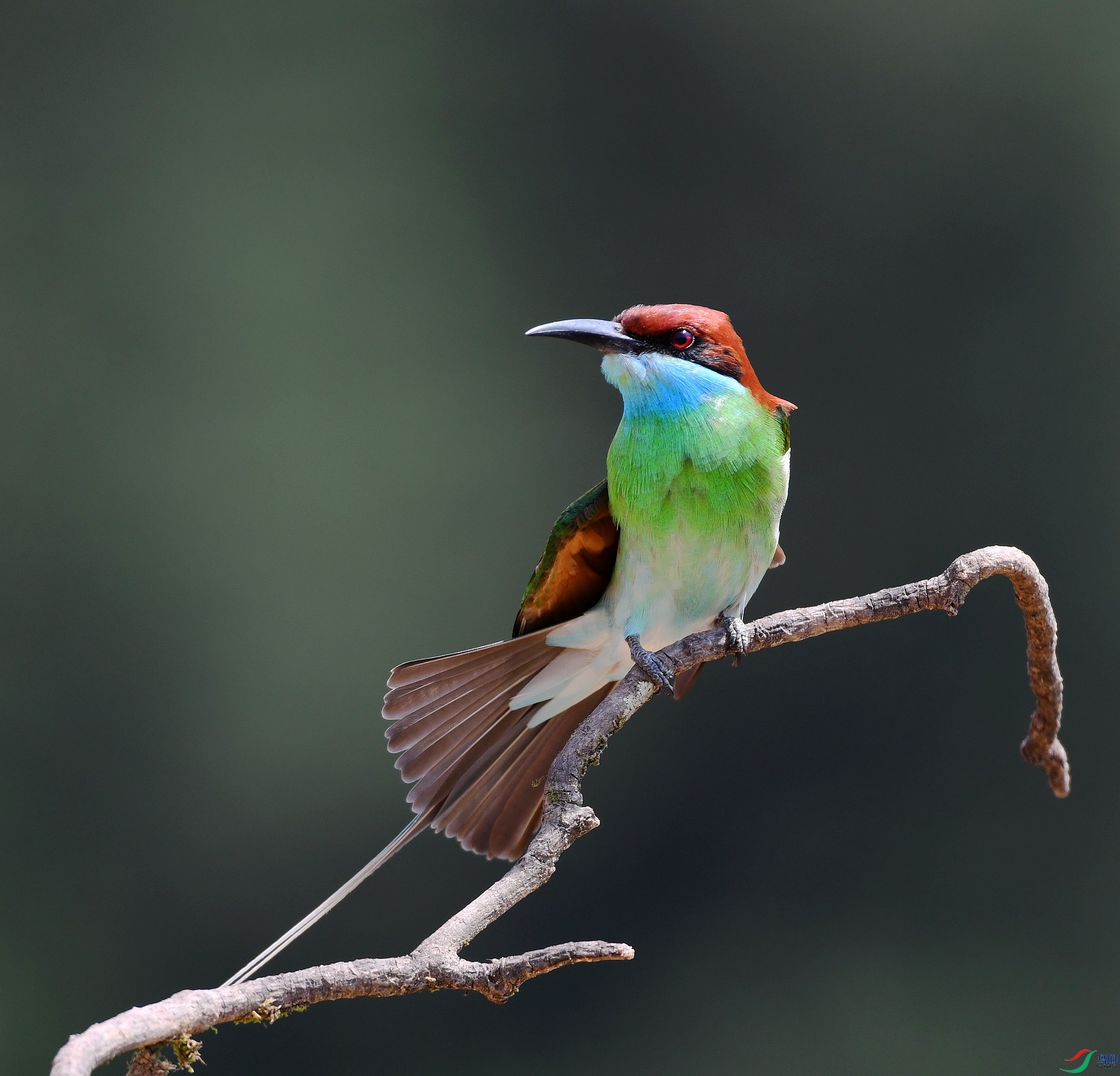 DSC_3340.jpg