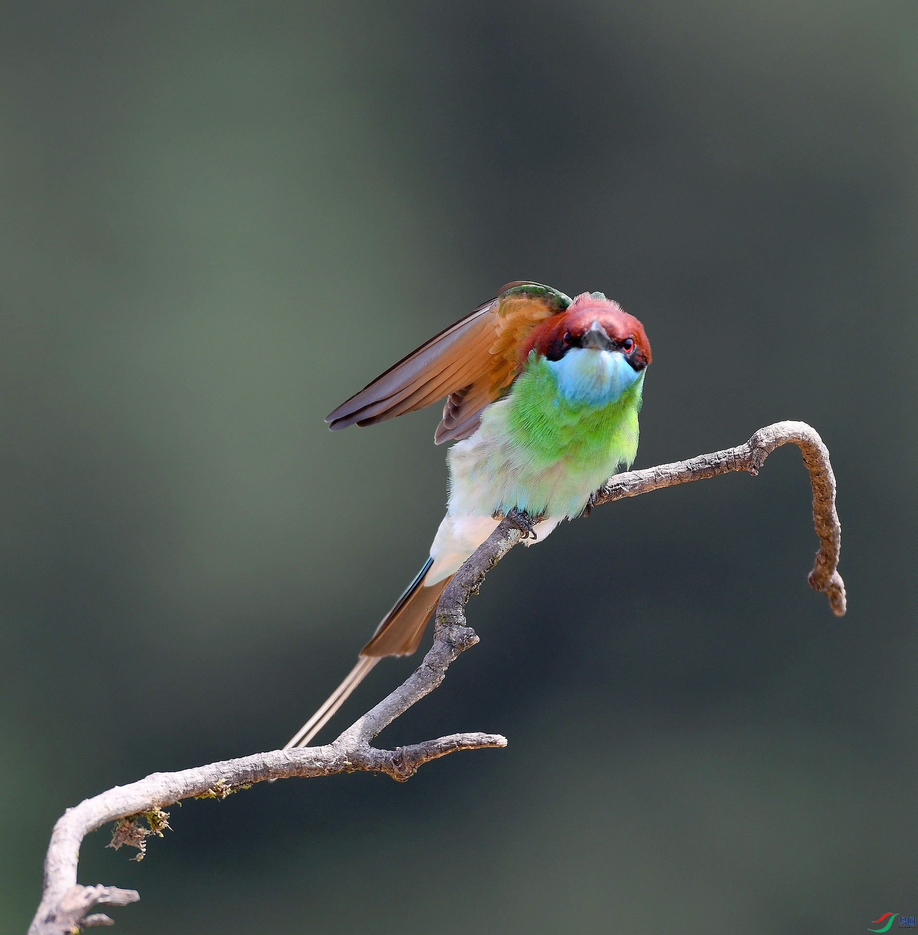DSC_3343.jpg