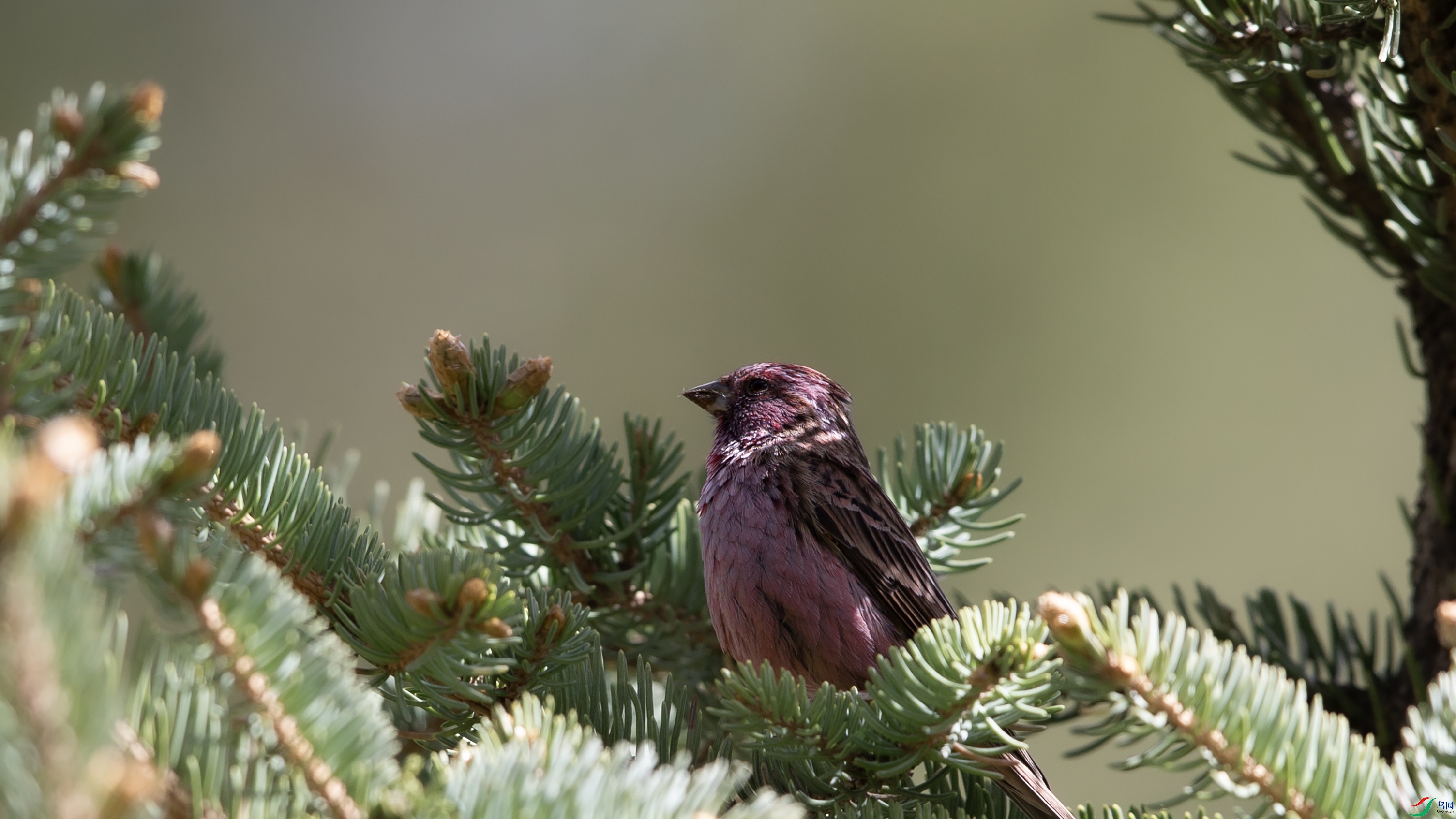 _MG_0280 ����.jpg