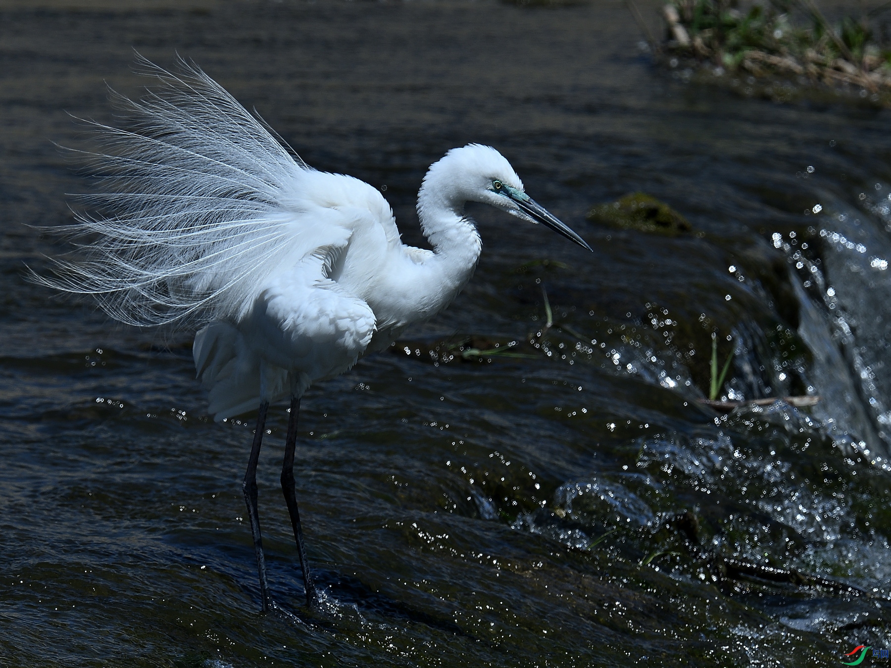 DSC_8173.JPG