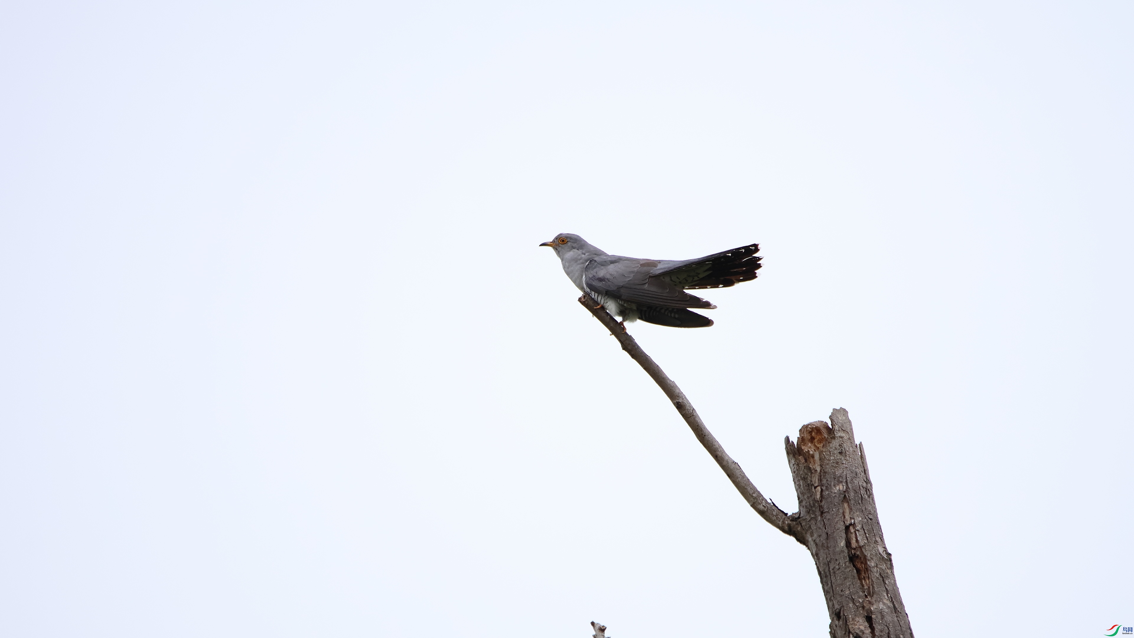 IMG_9444.JPG