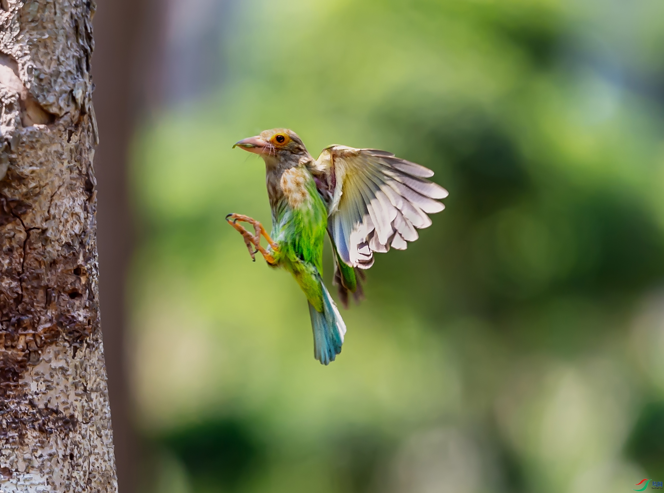 DSC_6120.jpg