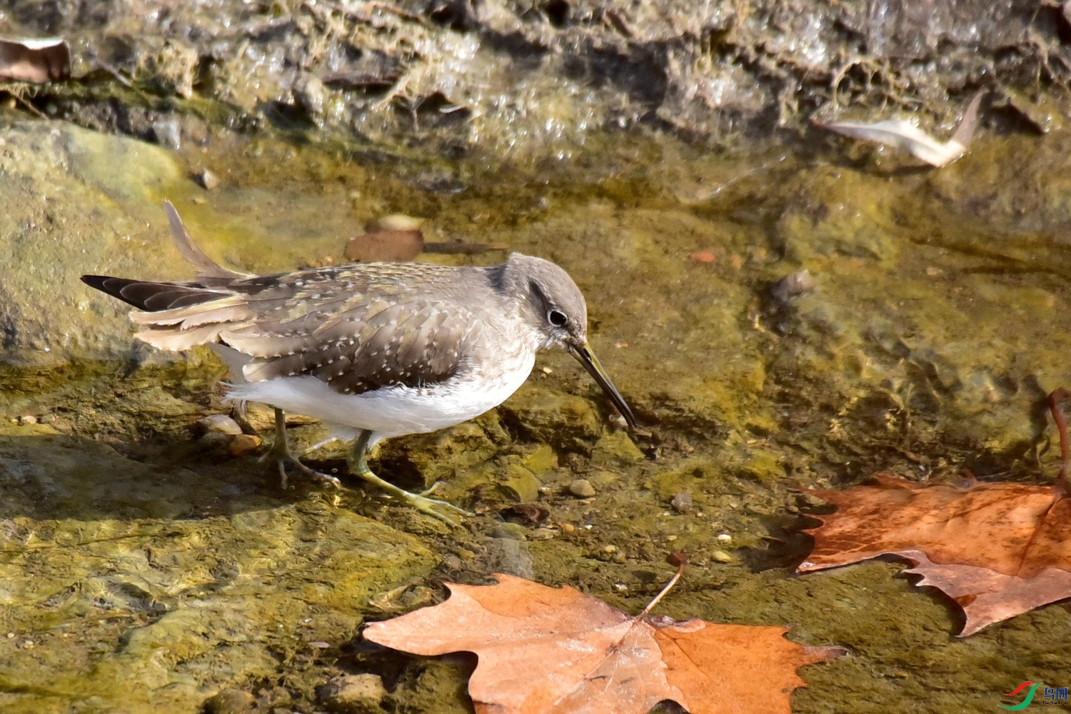 DSC_4053.JPG