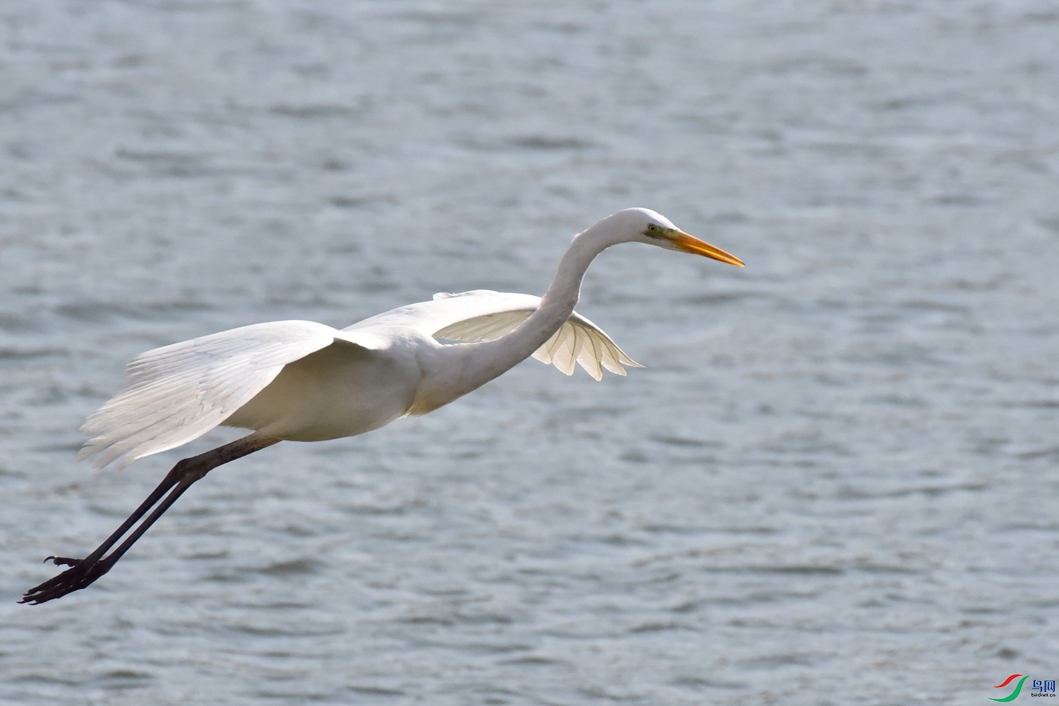 DSC_6104.JPG