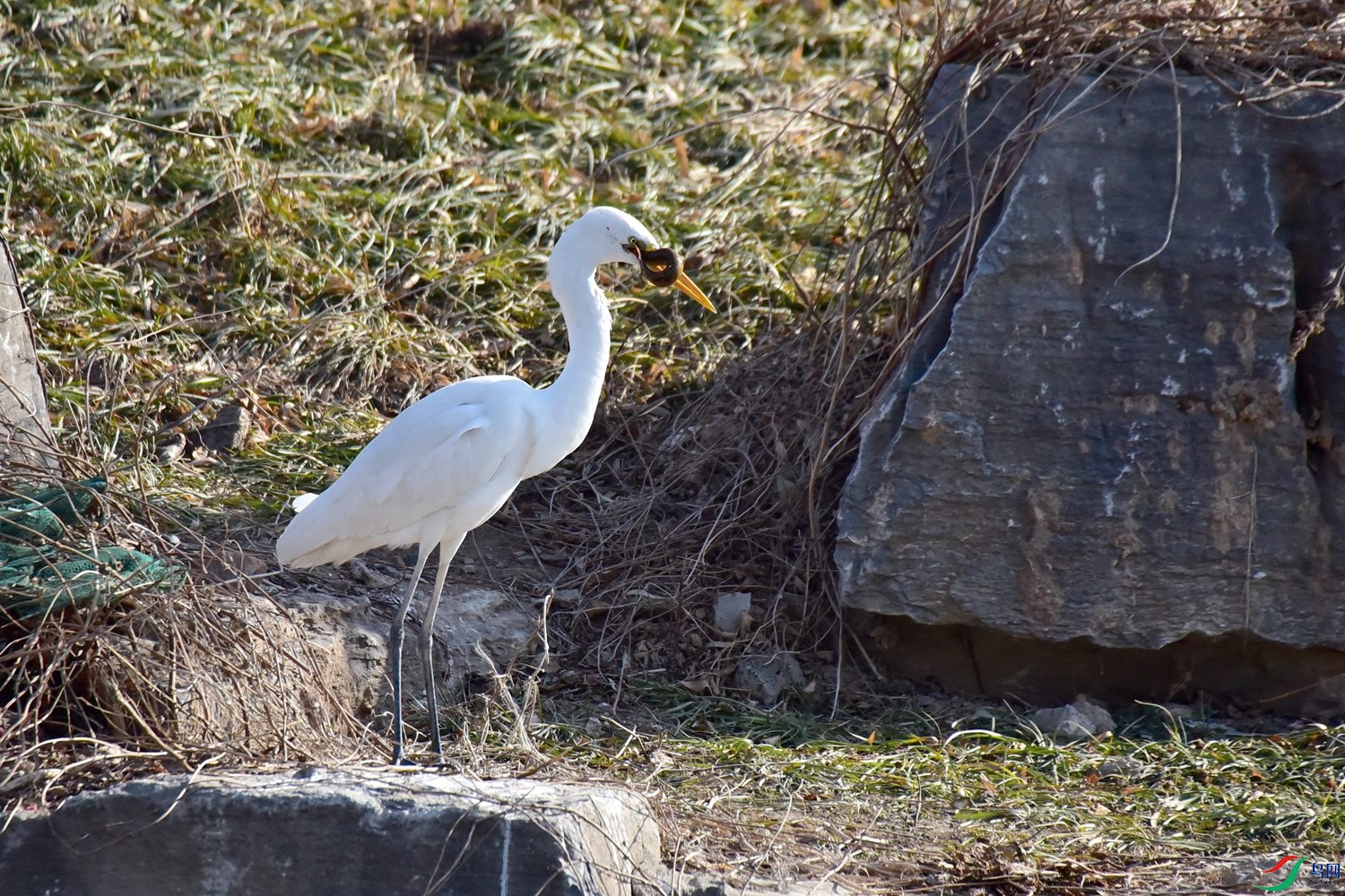 DSC_6188.JPG