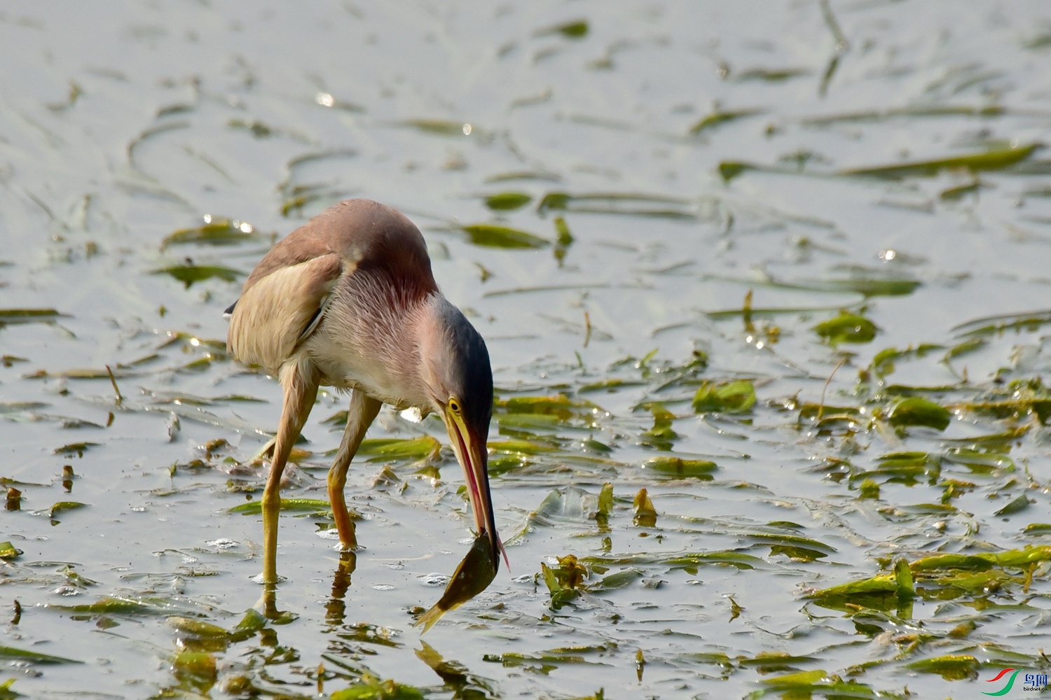 DSC_8861.JPG