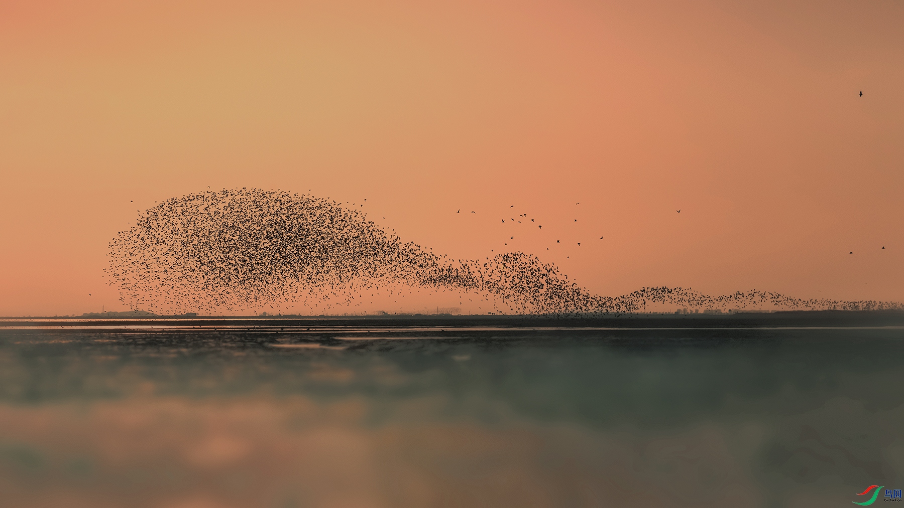 ��β��������----����ǳ̲